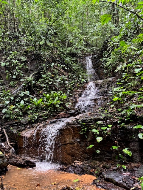 17.85-Acre Land with Two Waterfalls Near Dominical property photo 4