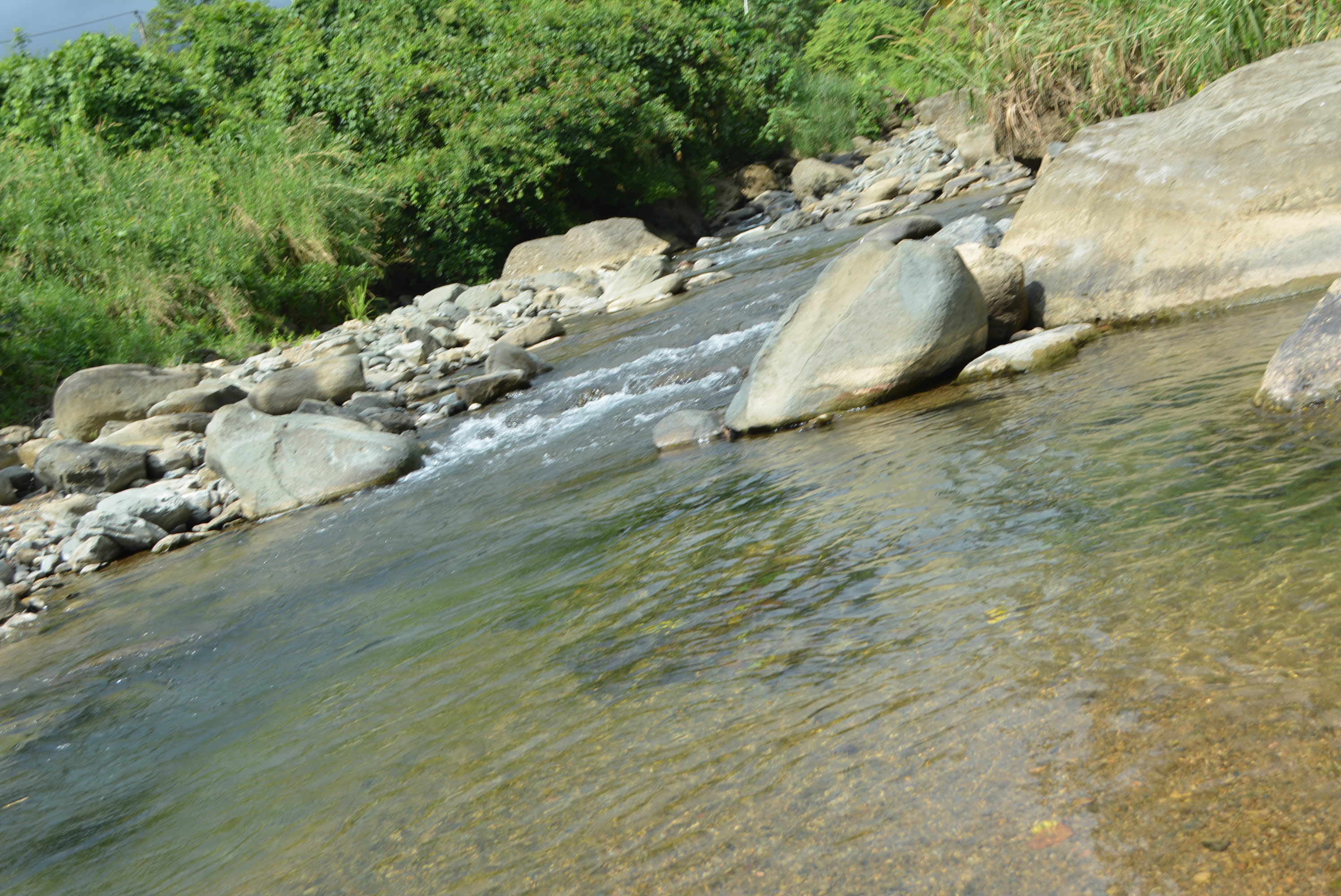 73-Acre River Front Farm Near Dominical property photo 3