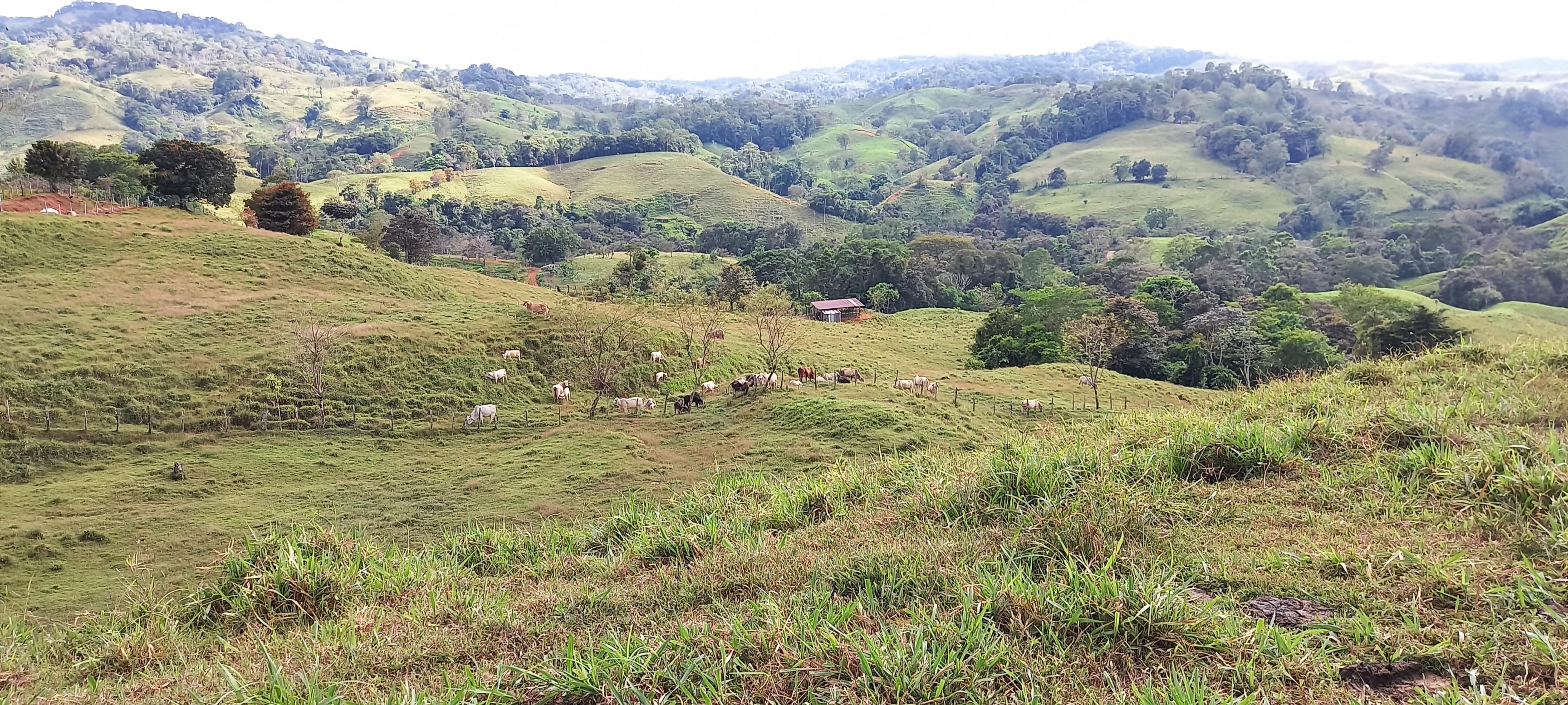 38-Acre Ranch in San Juan de Dios property photo 2
