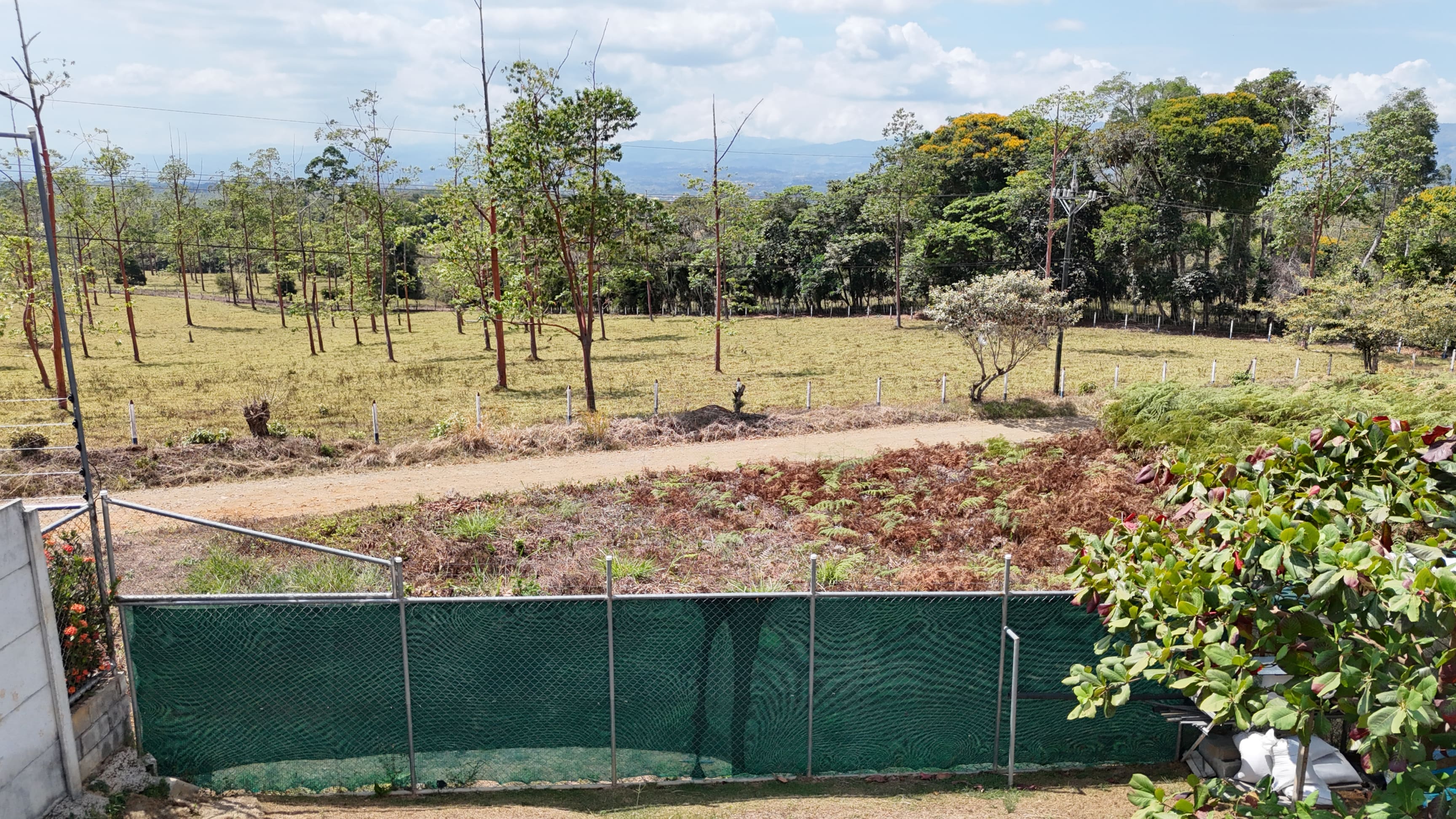 Mountain View Home in San Isidro de Perez Zeledon property photo 3