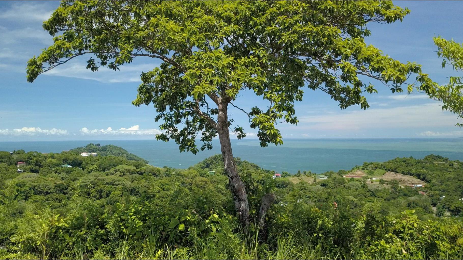 205-Acre Ocean View Land from Quepos to Manuel Antonio property photo 5