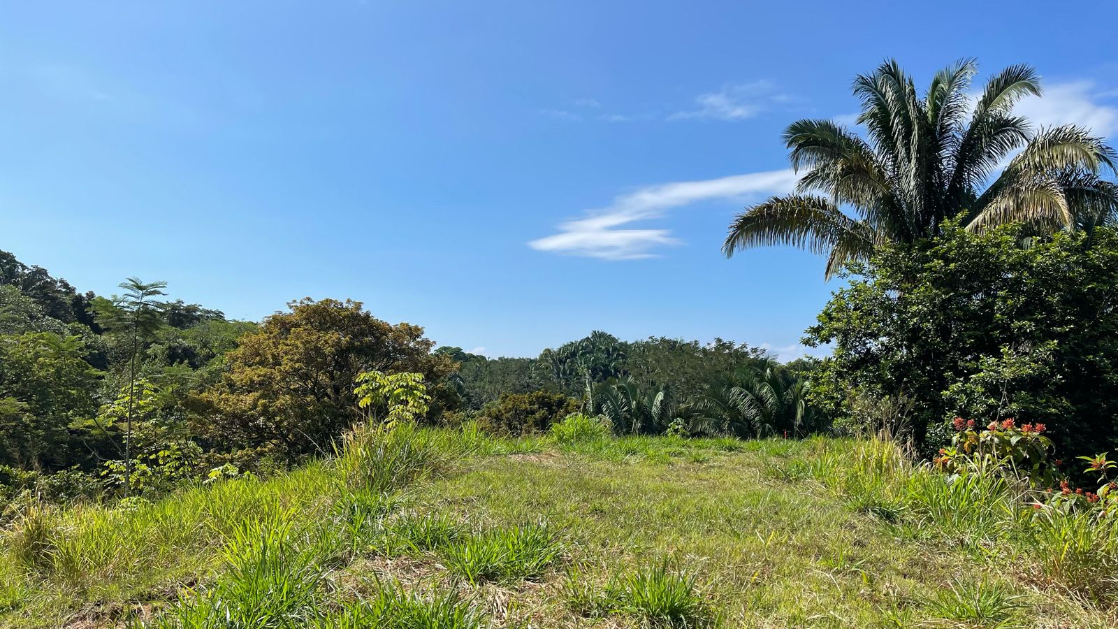 1.2-Acre Ocean and Mountain View Lot in Playa Hermosa, Near Uvita property photo 4