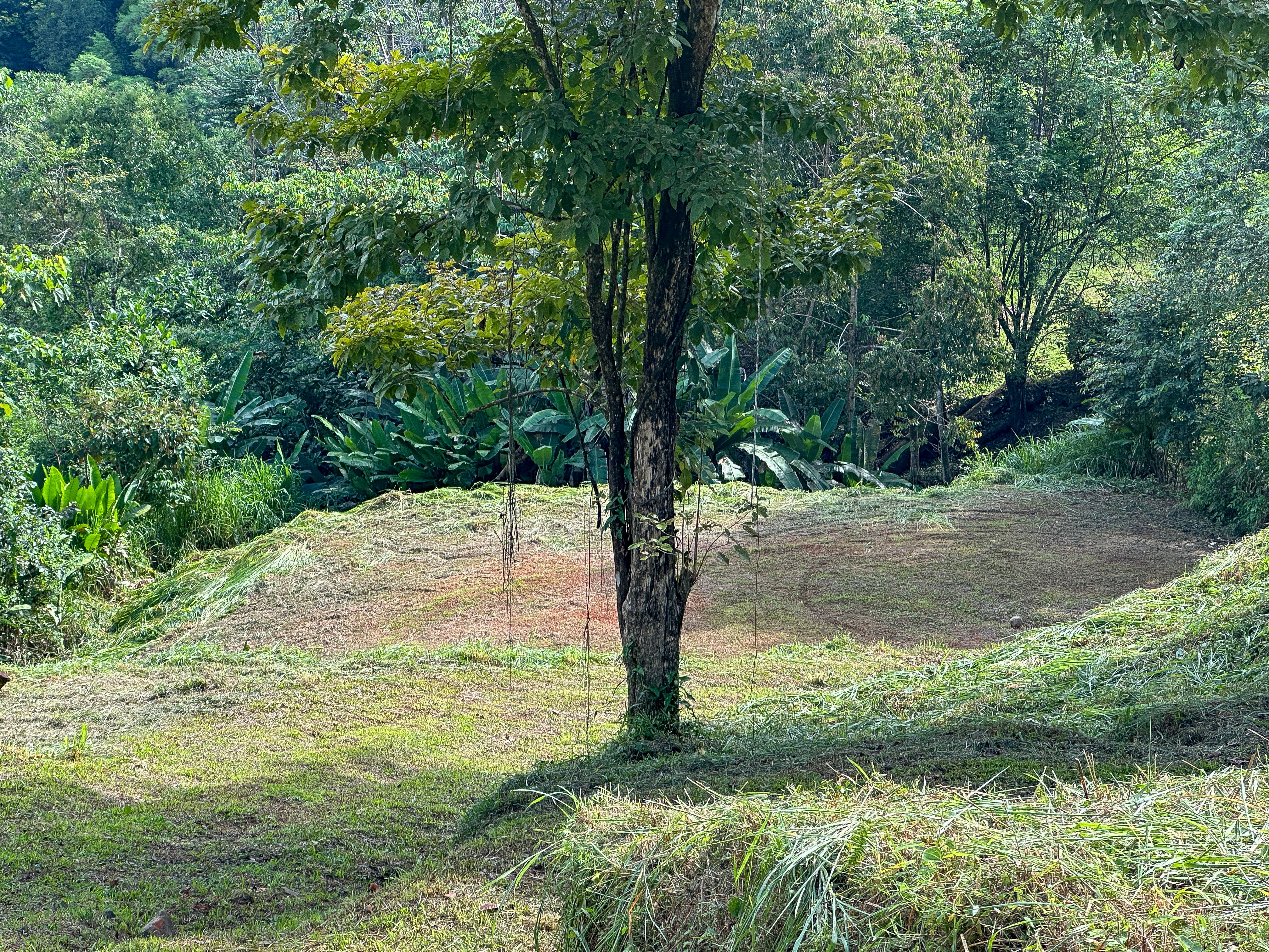 River and Waterfall Jungle Land in Union Road, Uvita property photo 2