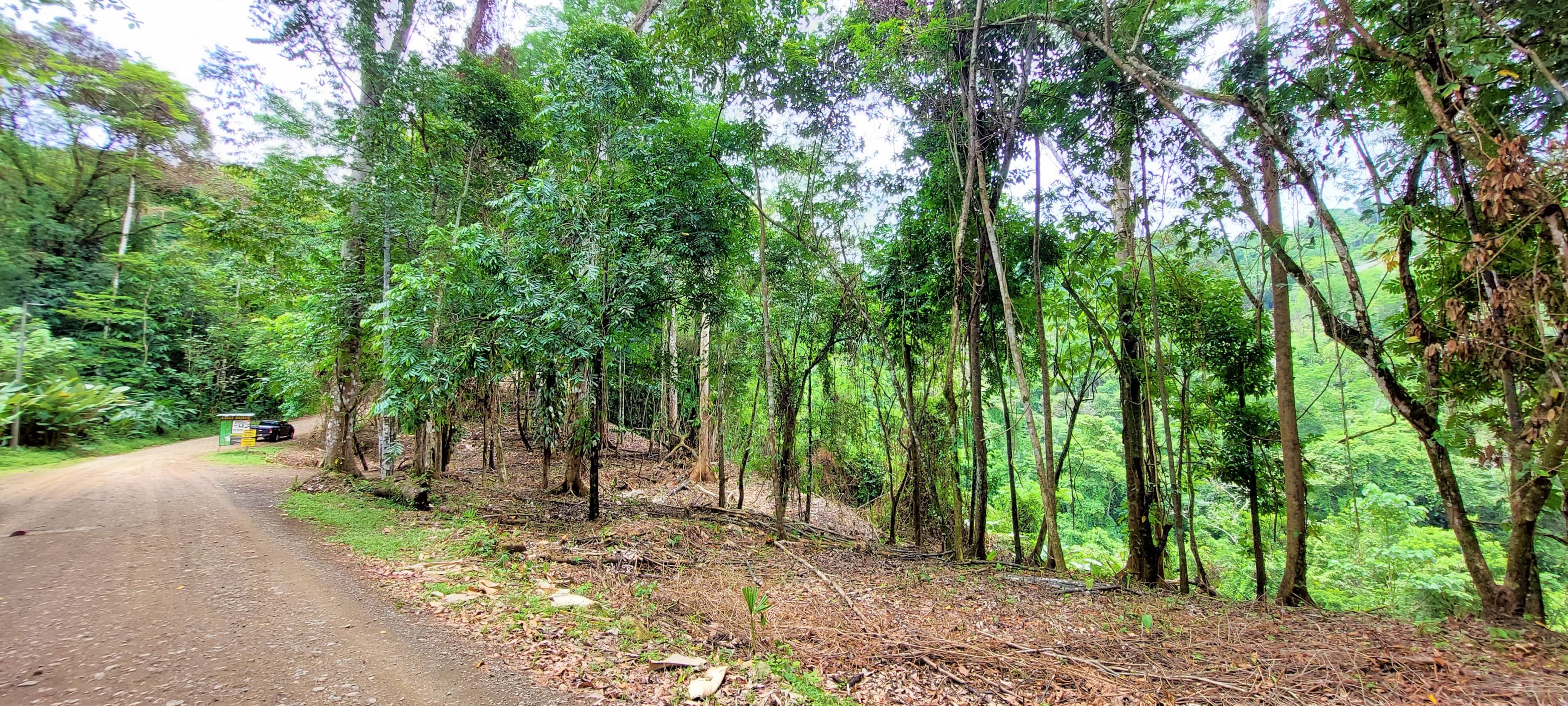 3.5-Acre Estate Land on Bejuco Road, Uvita property photo 4