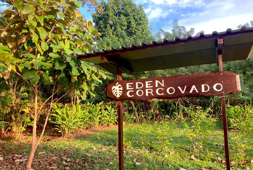 Beachfront Land Near Corcovado, Rincon de San Josecito property photo 3