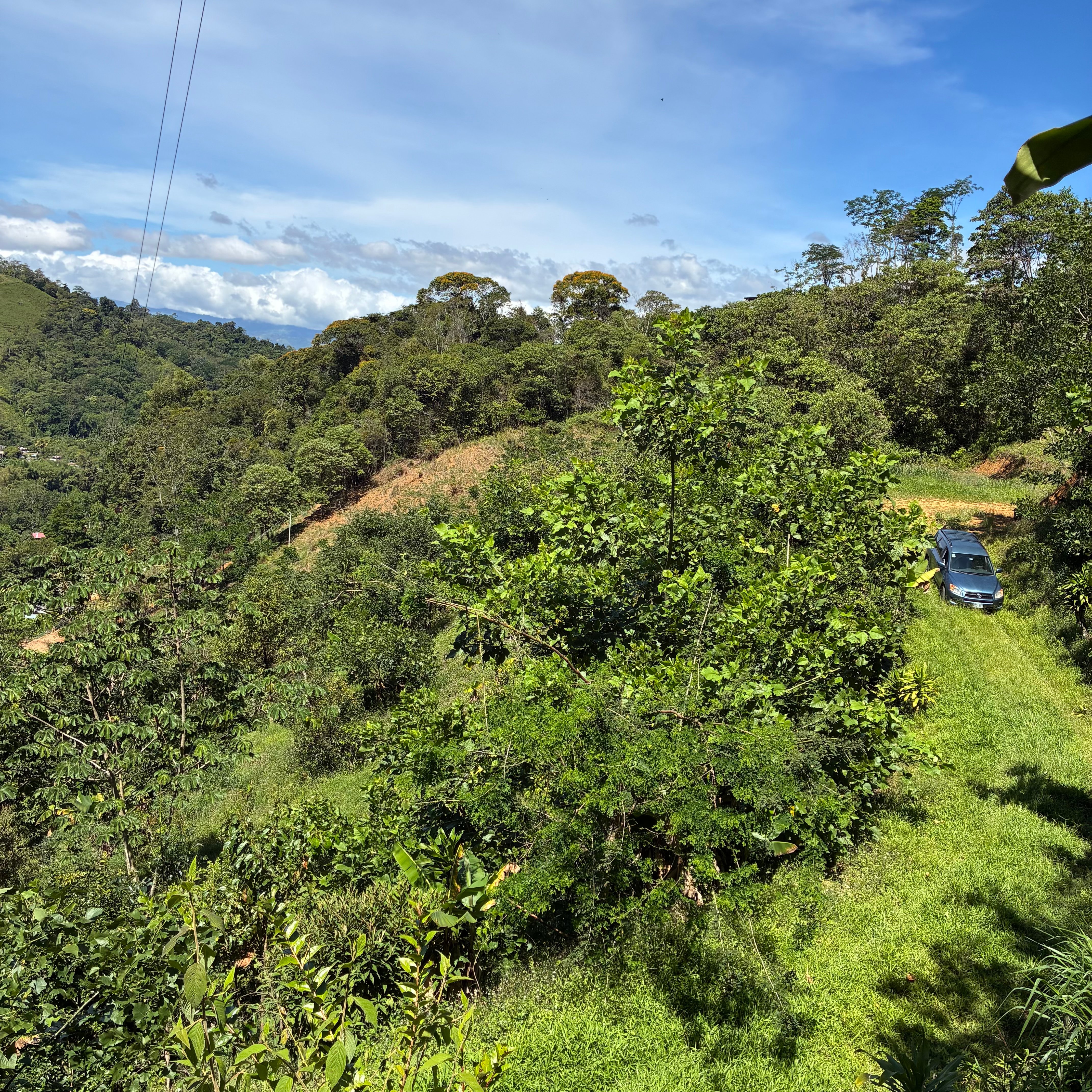 Mountain View Land Near Chirripo, Chimirol property photo 3