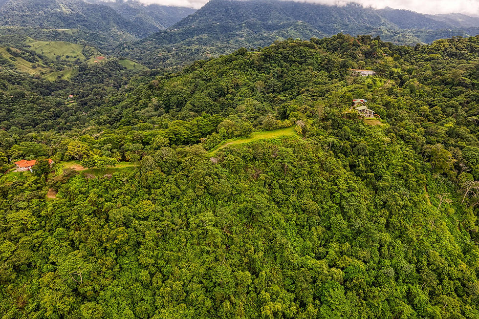 Thumbnail: Development Land in Coronado | 4 Lots with Ocean & Jungle Views