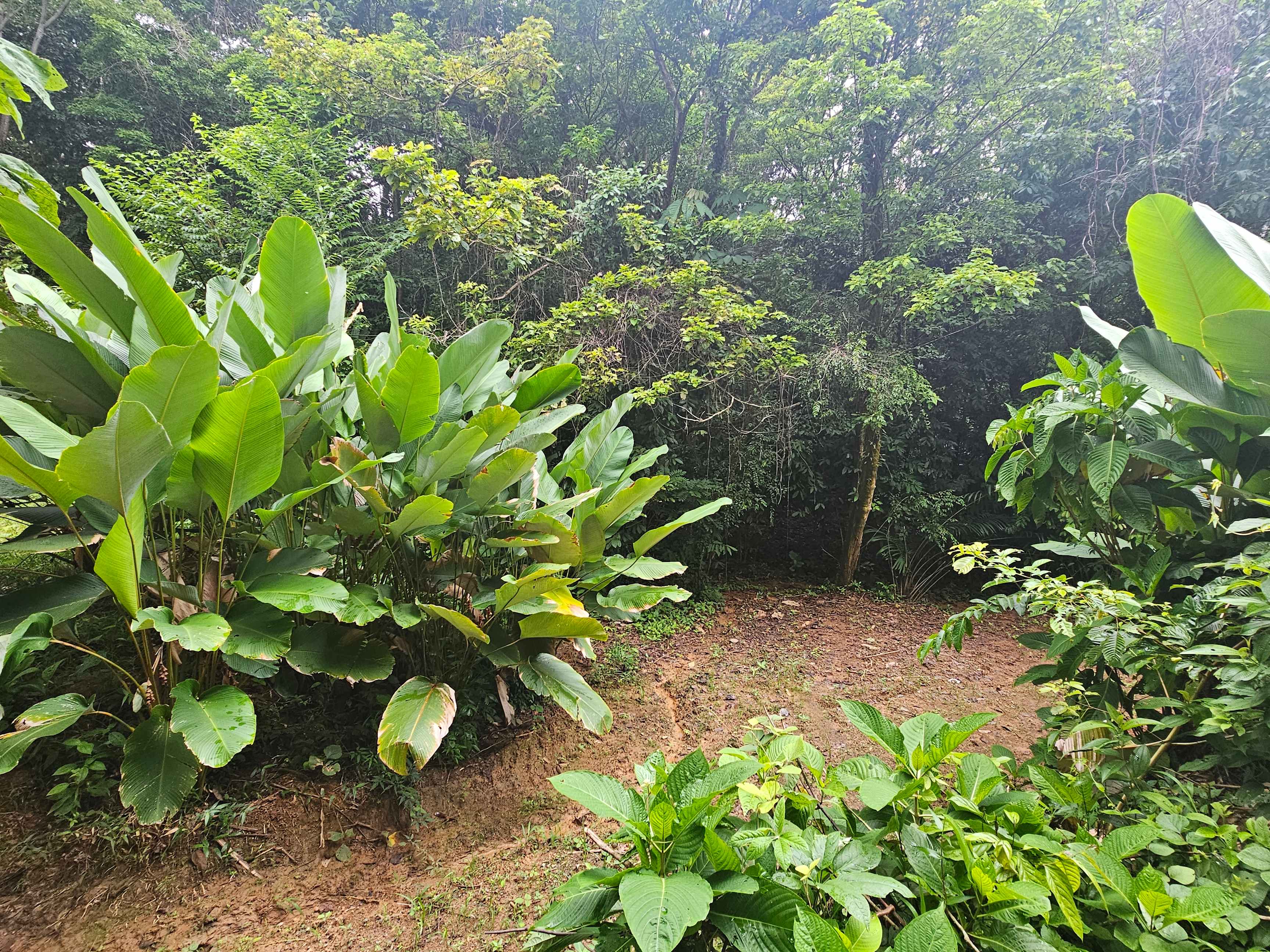 Building Lot Near Playa Hermosa, Uvita property photo 2