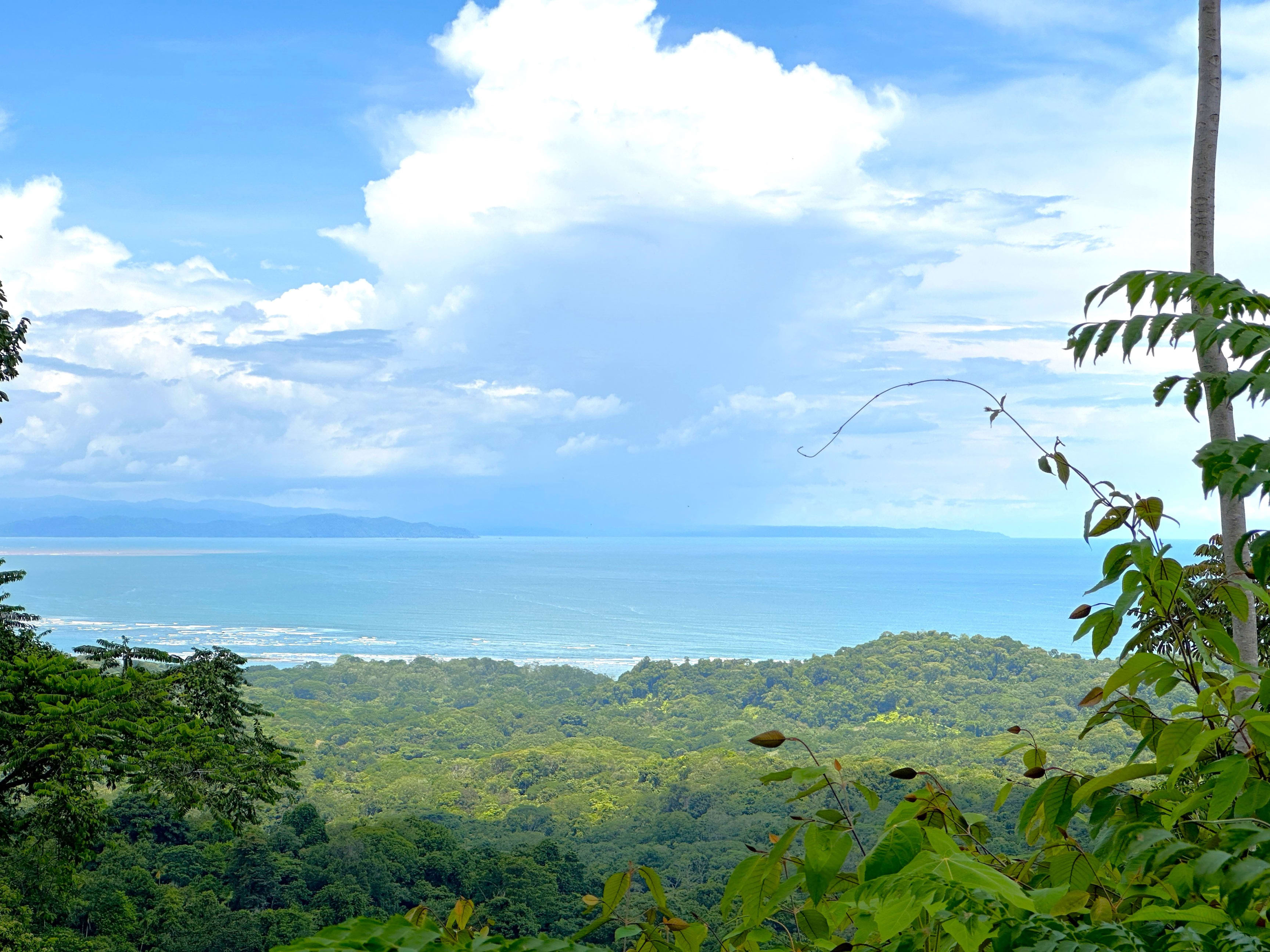 11.24-Acre Development Land in Cinco Ventanas, Ojochal property photo 2