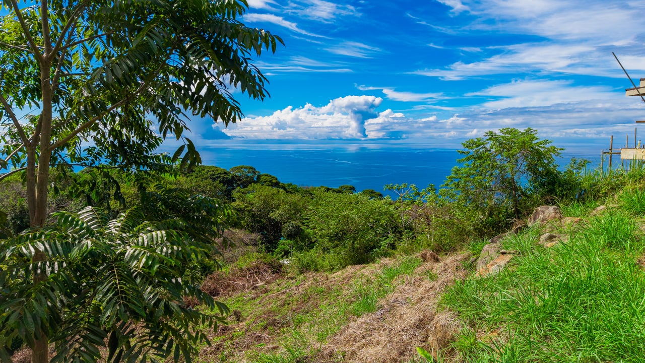 Ocean View Homesite in Escaleras, Dominical property photo 3