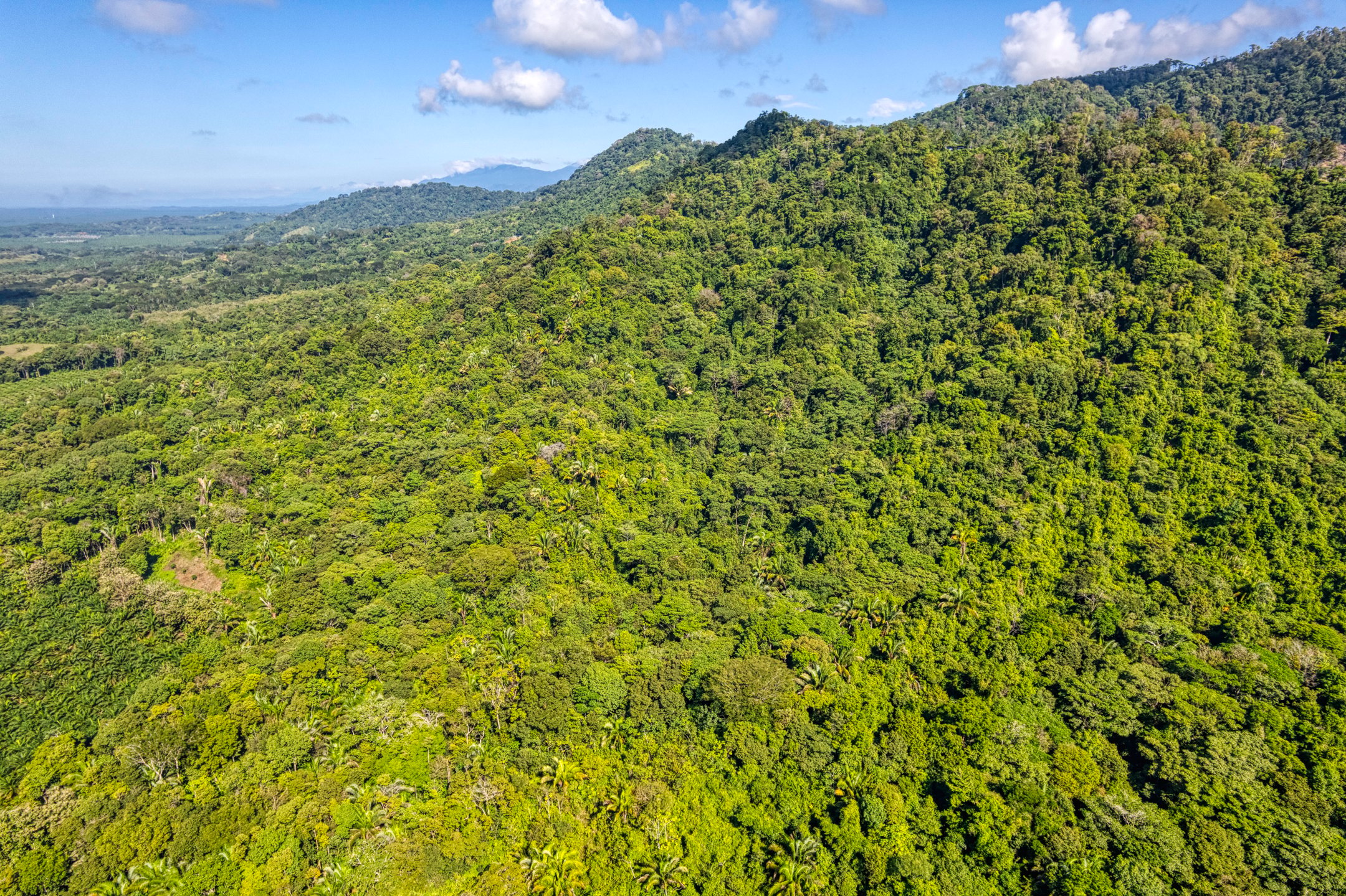 Ocean View Land in Portalon, Quepos property photo 5