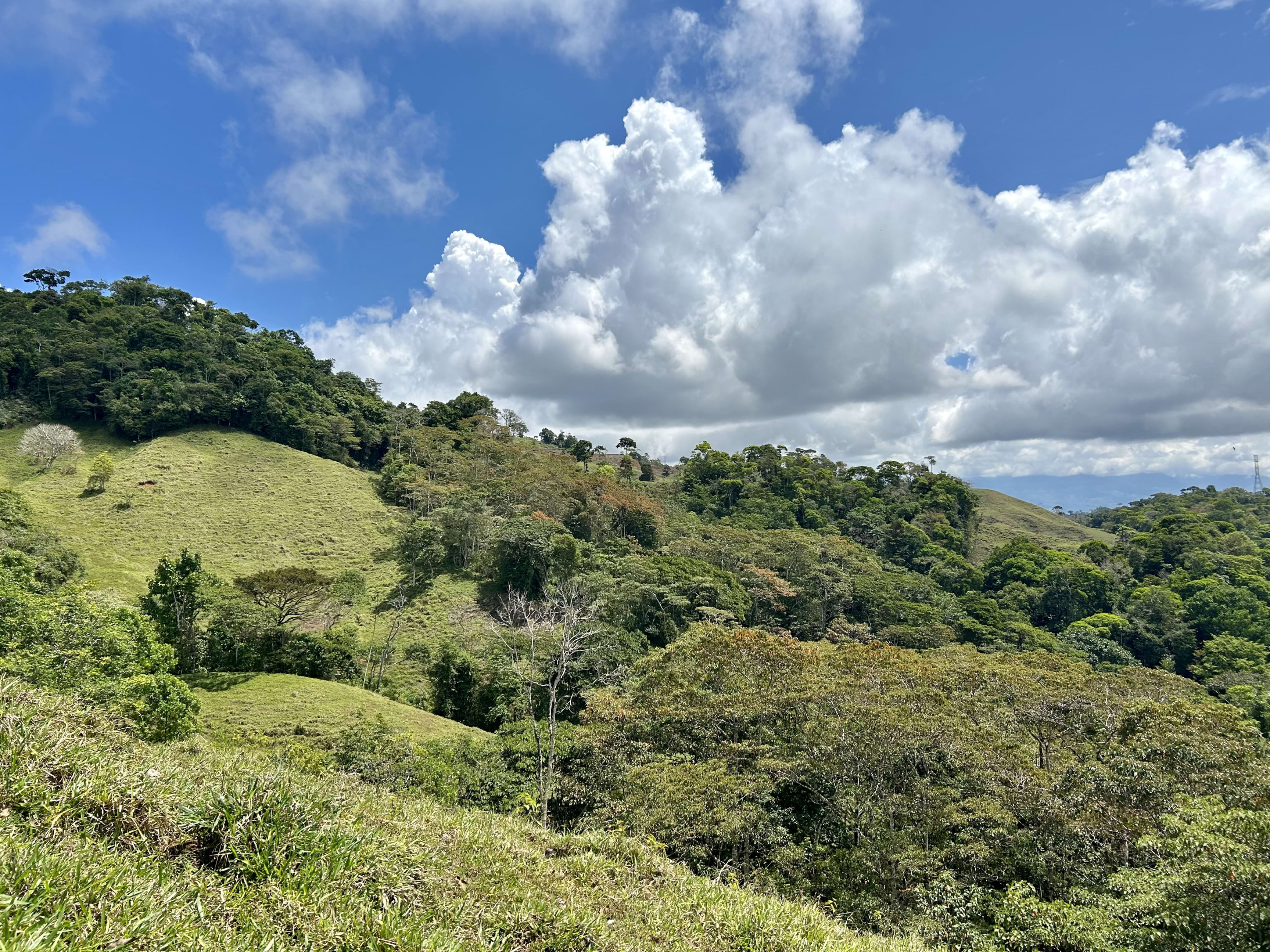 26-Acre Farm with Natural Springs in Alto de San Juan, Perez Zeledon property photo 2