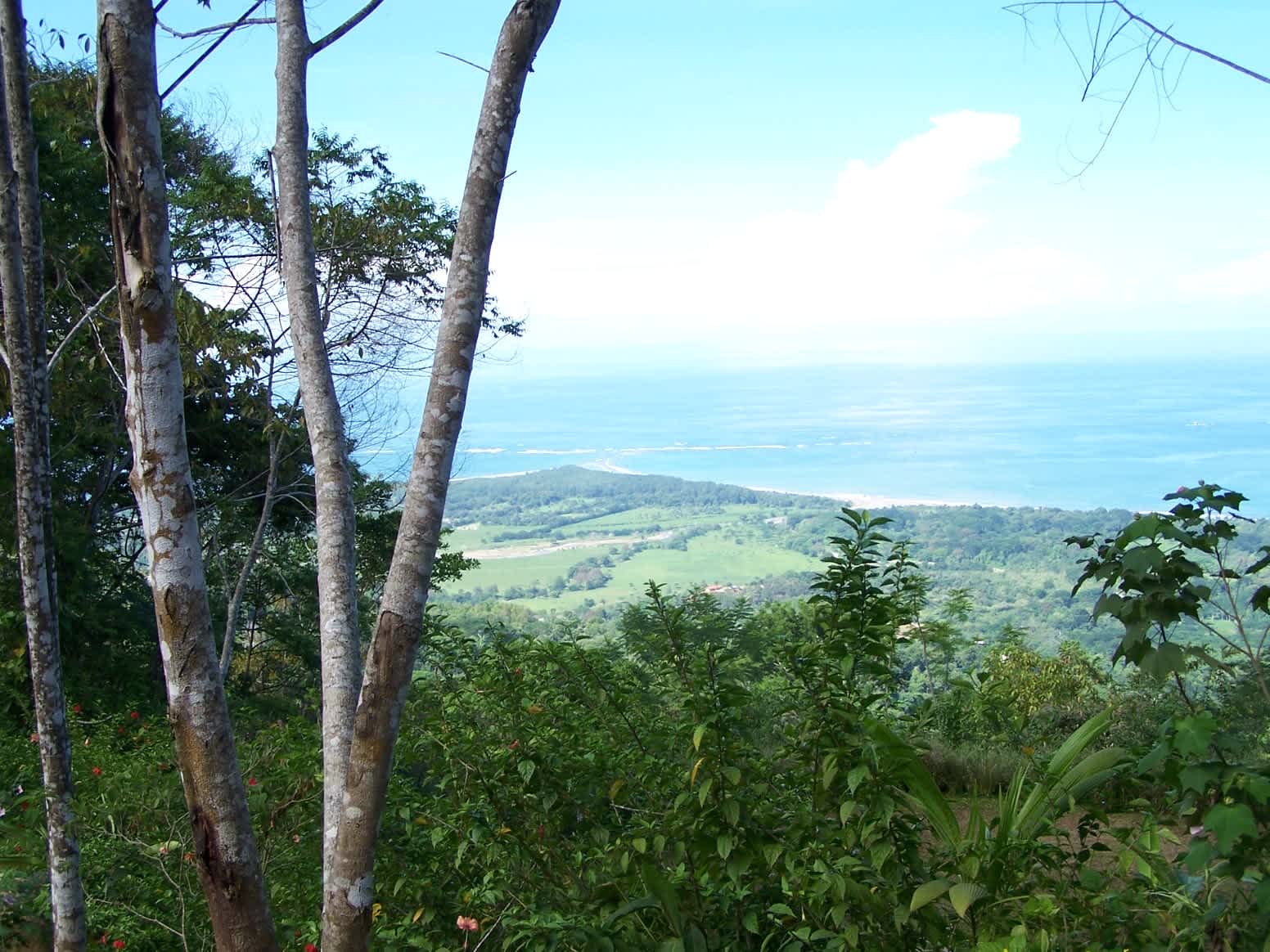 79-Acre Ridge Top Farm in Uvita property photo 4