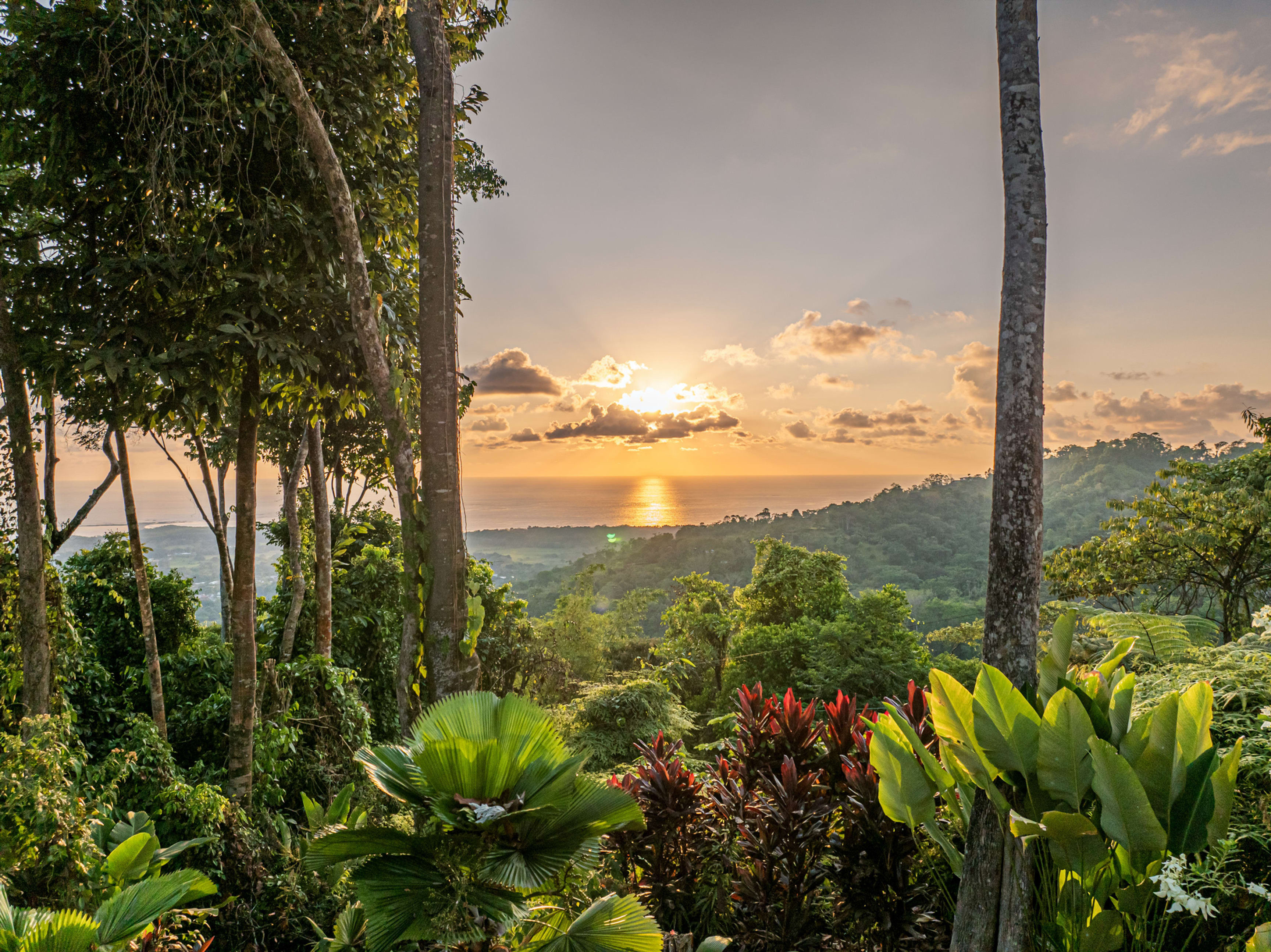Ocean View Home in Uvita | 3 Bed / 3 Bath