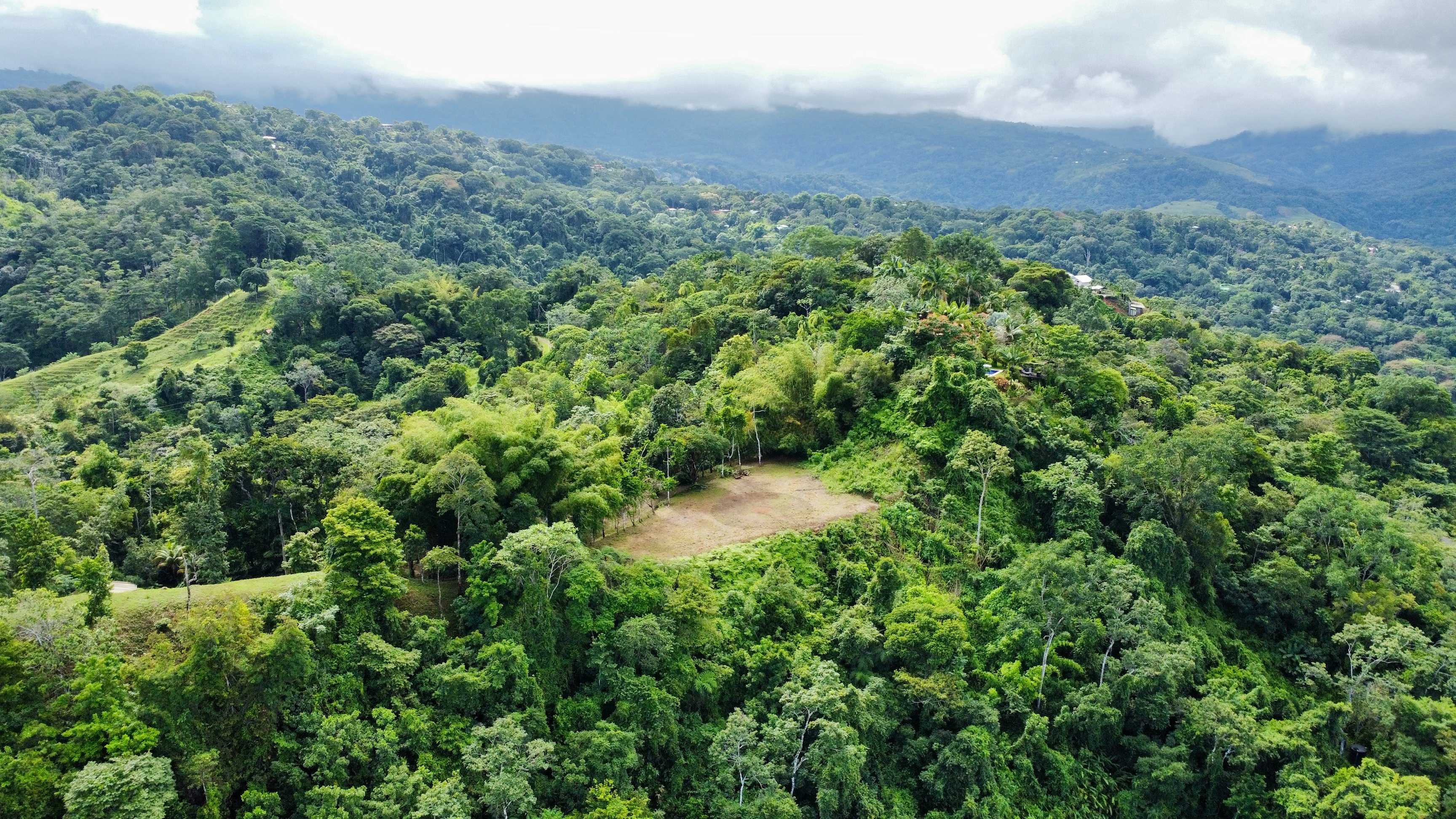 1.5-Acre View Lot in Platanillo property photo 2