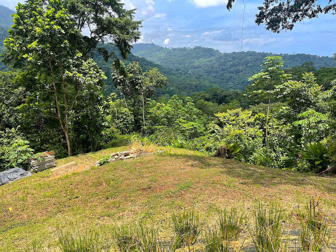 25-Acre Development Land in Uvita property photo 4