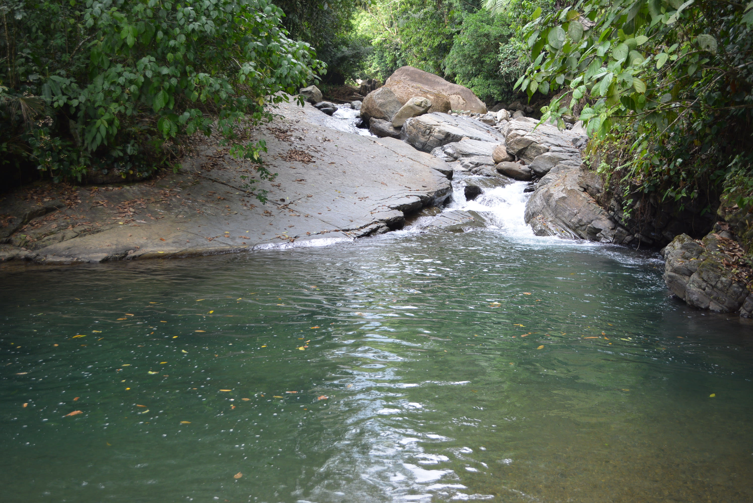 73-Acre River Front Farm Near Dominical property photo 2