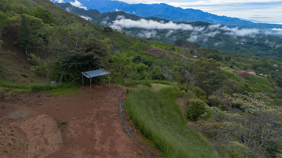 Thumbnail: 10-Acre Estate Land in Pérez Zeledón | Valley Views & 5 Build Sites