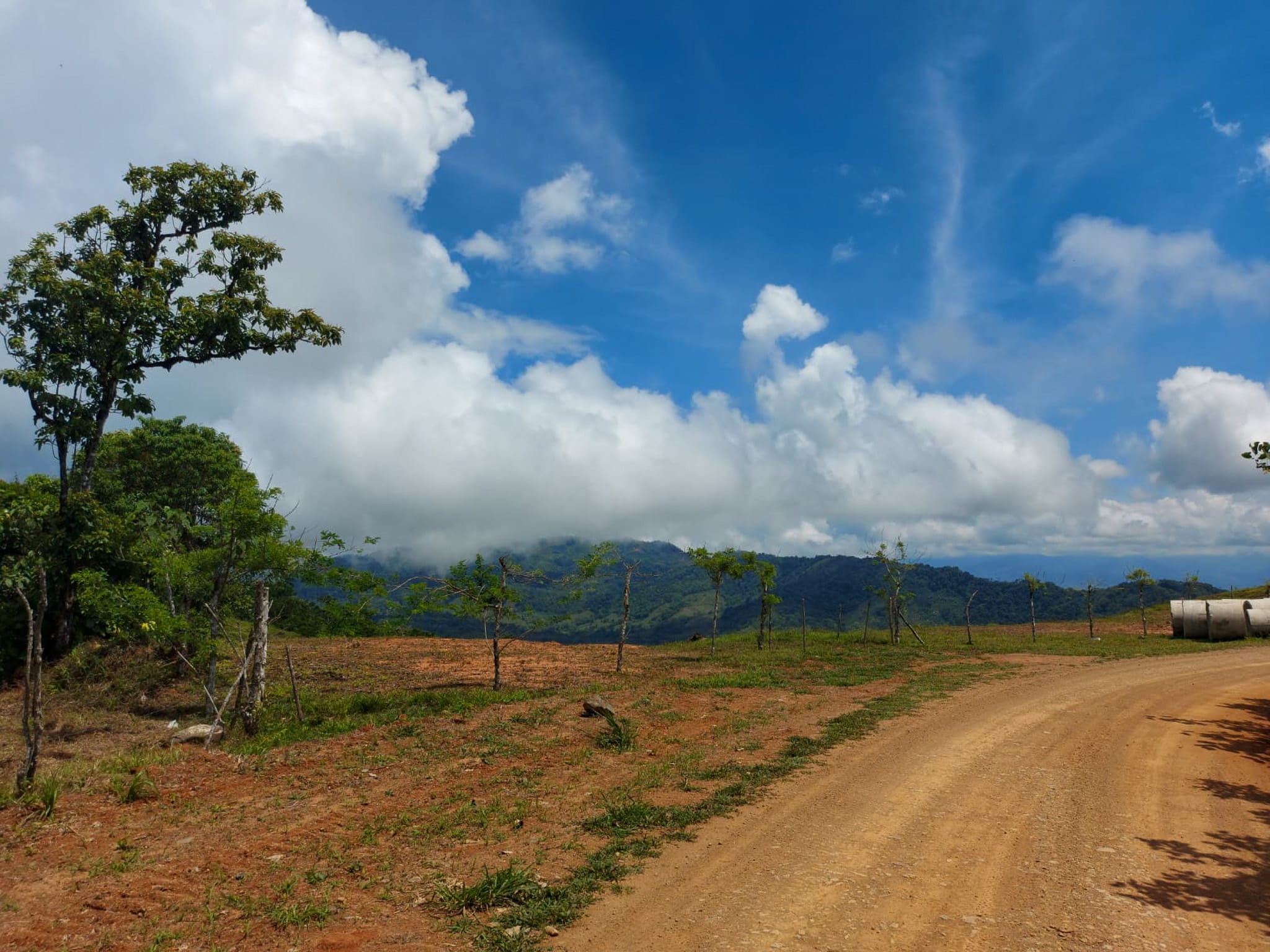 3.36-Acre Ocean View Lot in Aguas Buenas, Uvita property photo 5