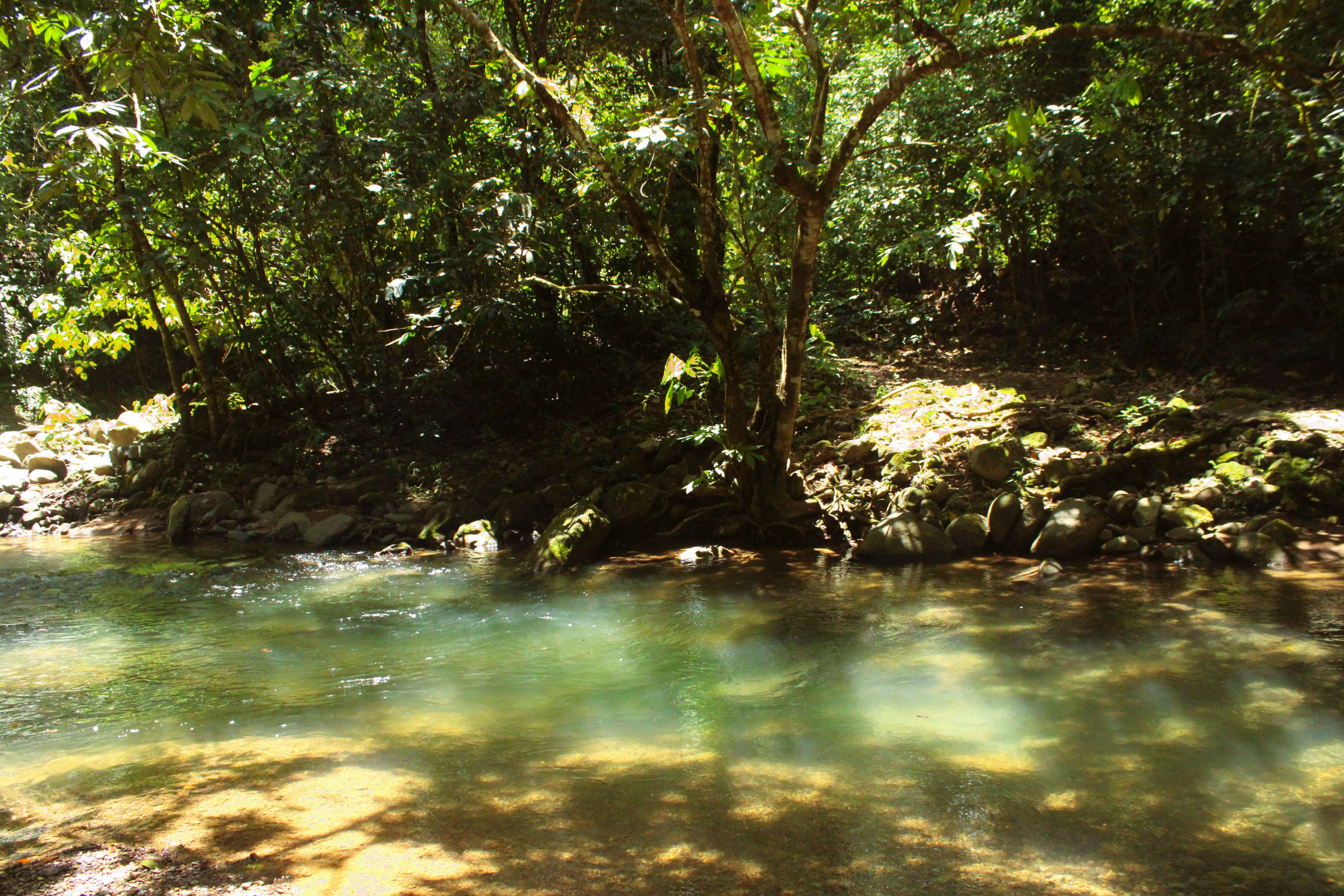 55-Acre Farm in Chontales, Near Ojochal in Uvita, Costa Rica