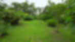 Thumbnail: Home in Uvita | 2 Bed / 1 Bath
