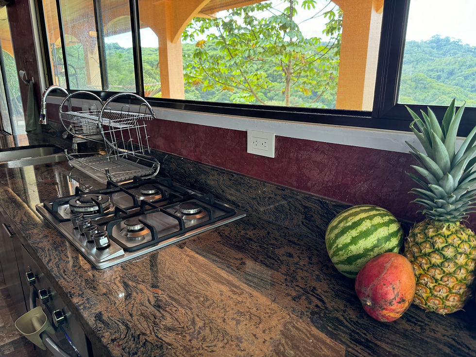 Thumbnail: New 2.6-Acre Ocean View Home in Dominical | 3 Bed