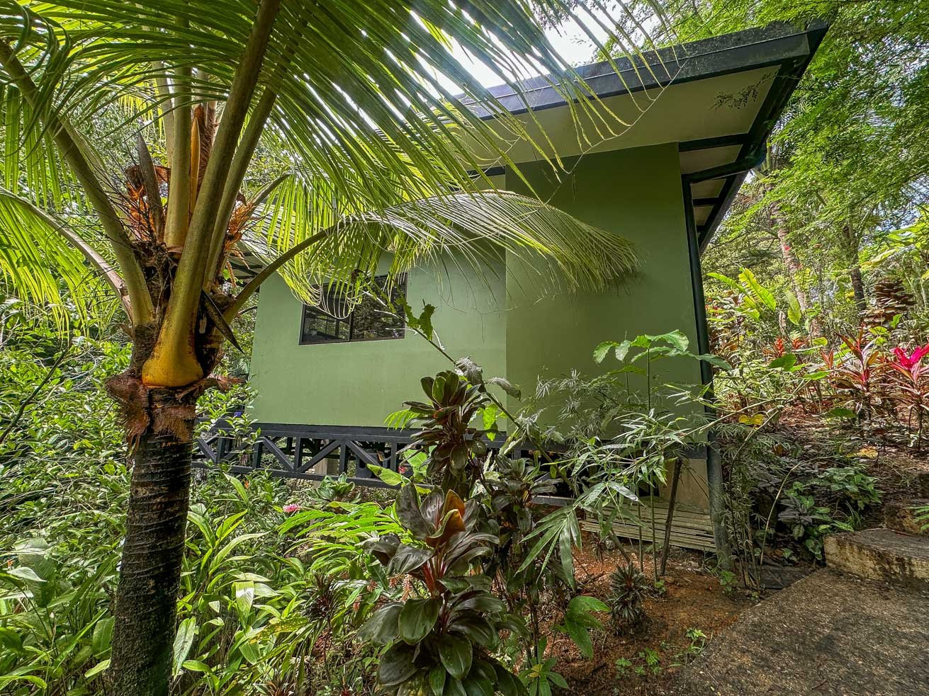 Jungle Estate in Ojochal property photo 3
