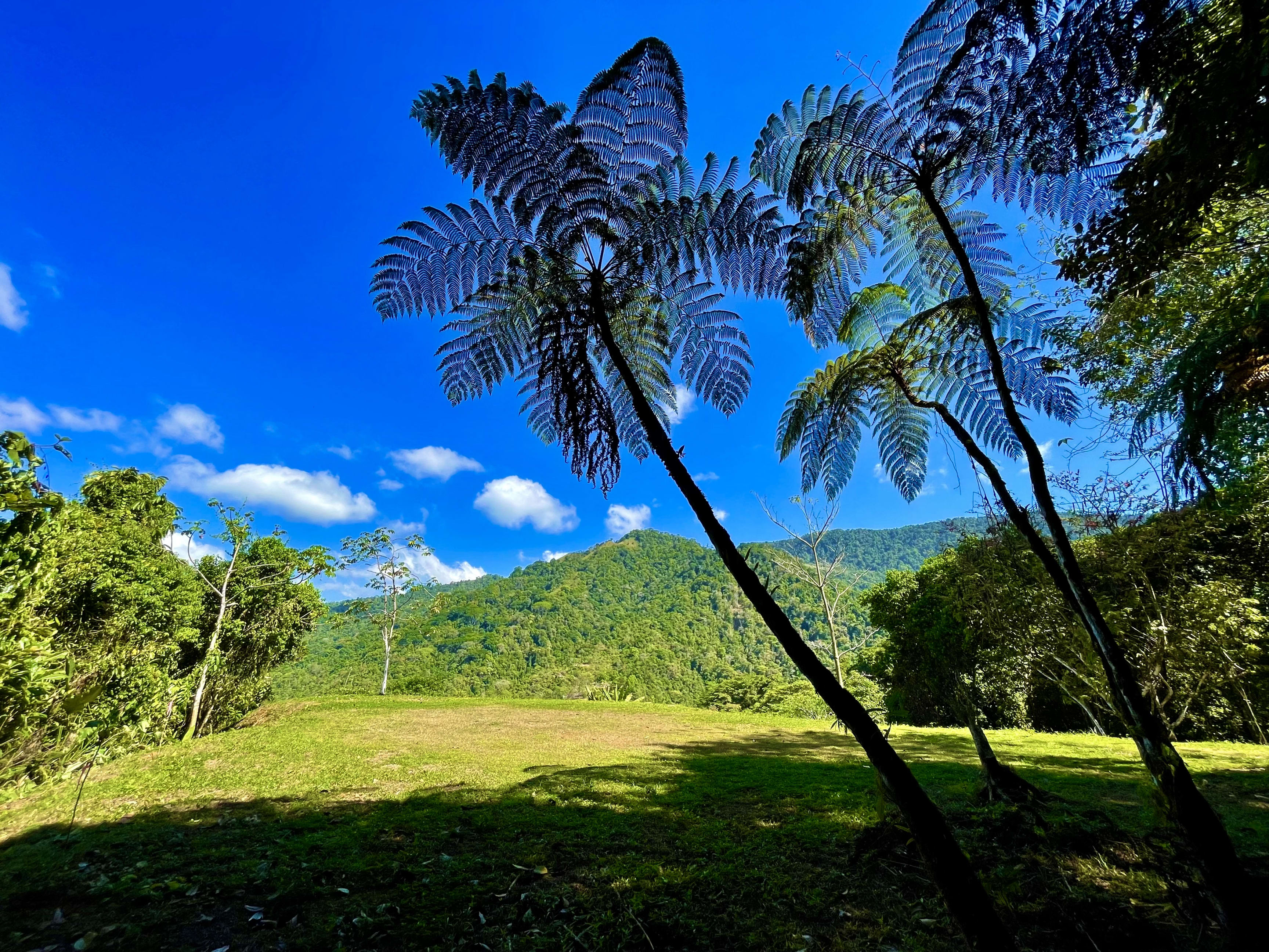 Wildlife Reserve Land in Cascada Sandalo, Tres Rios in Tres Rios, Costa Rica