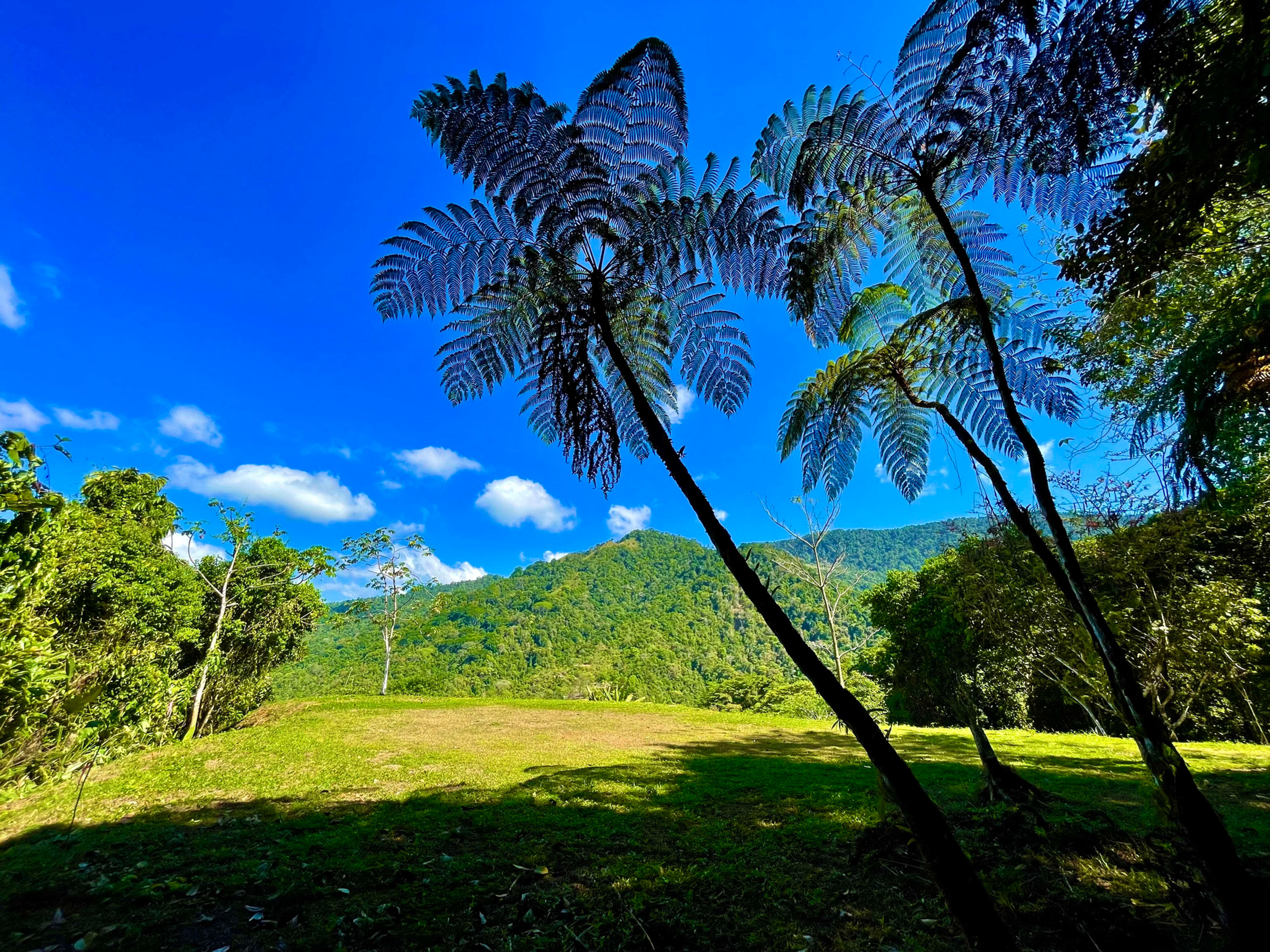 Land Bordering a Wildlife Reserve in Tres Ríos in Tres Rios, Puntarenas, Costa Rica