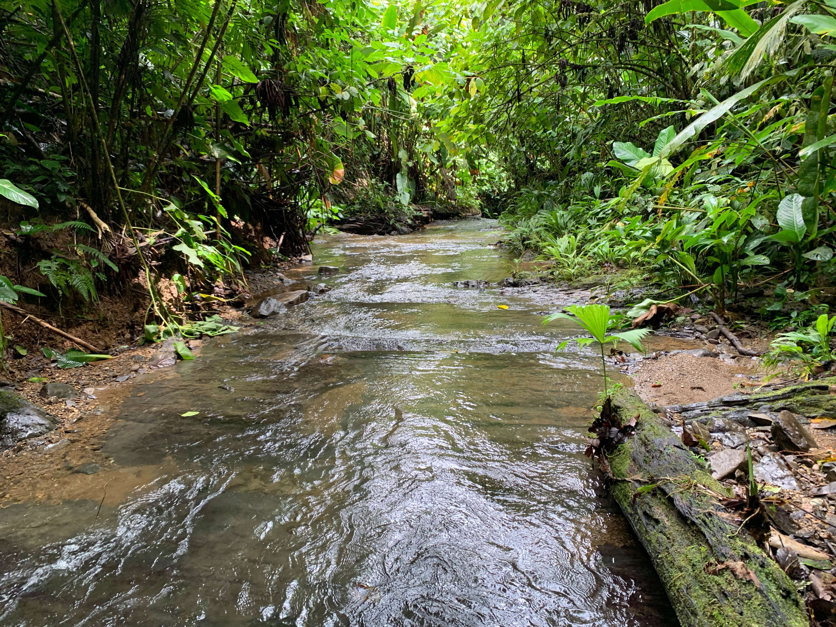 74-Acre Mountain Land Near Quepos property photo 2