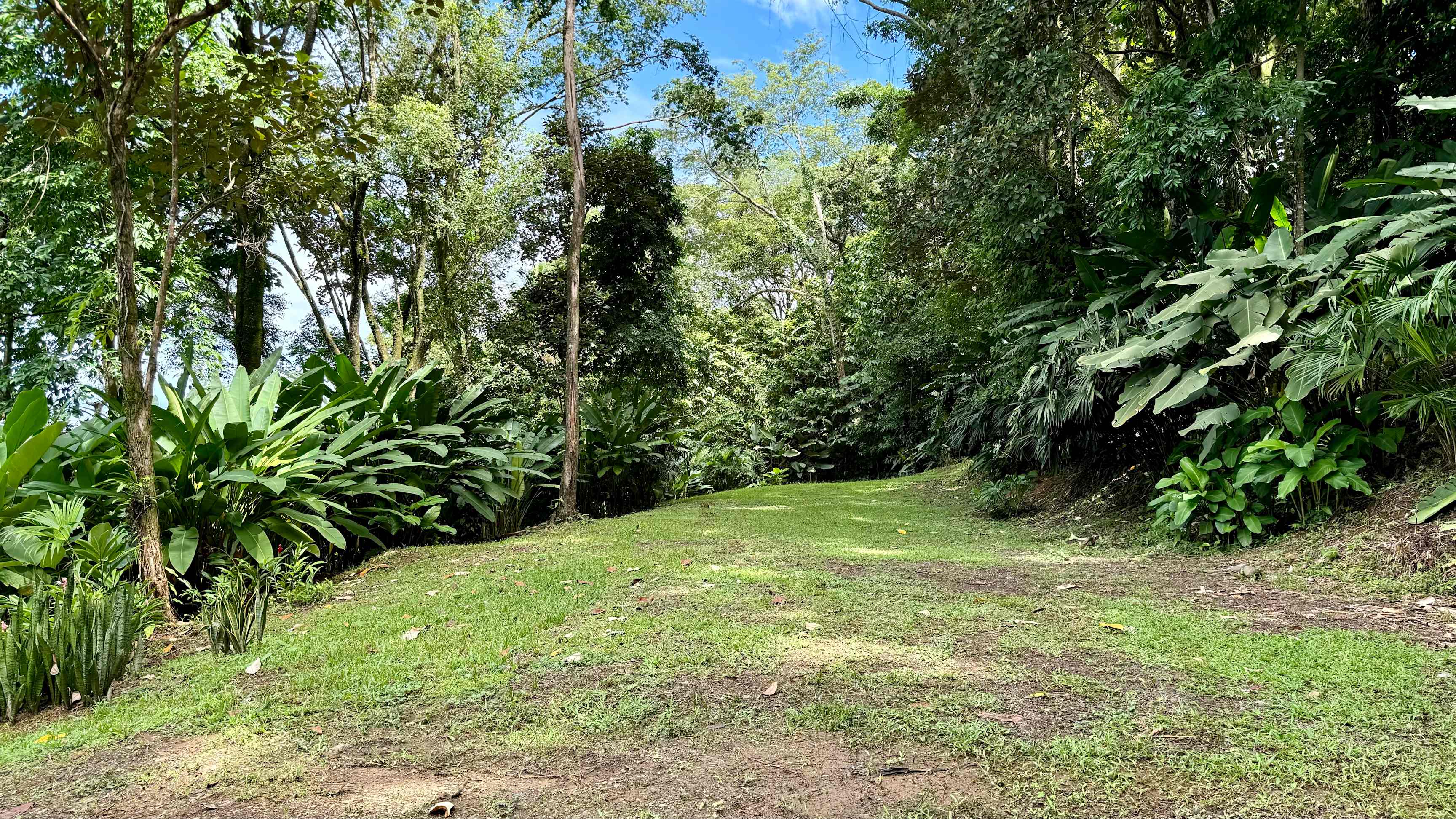 1.4-Acre Ocean View Lot in Uvita property photo 4