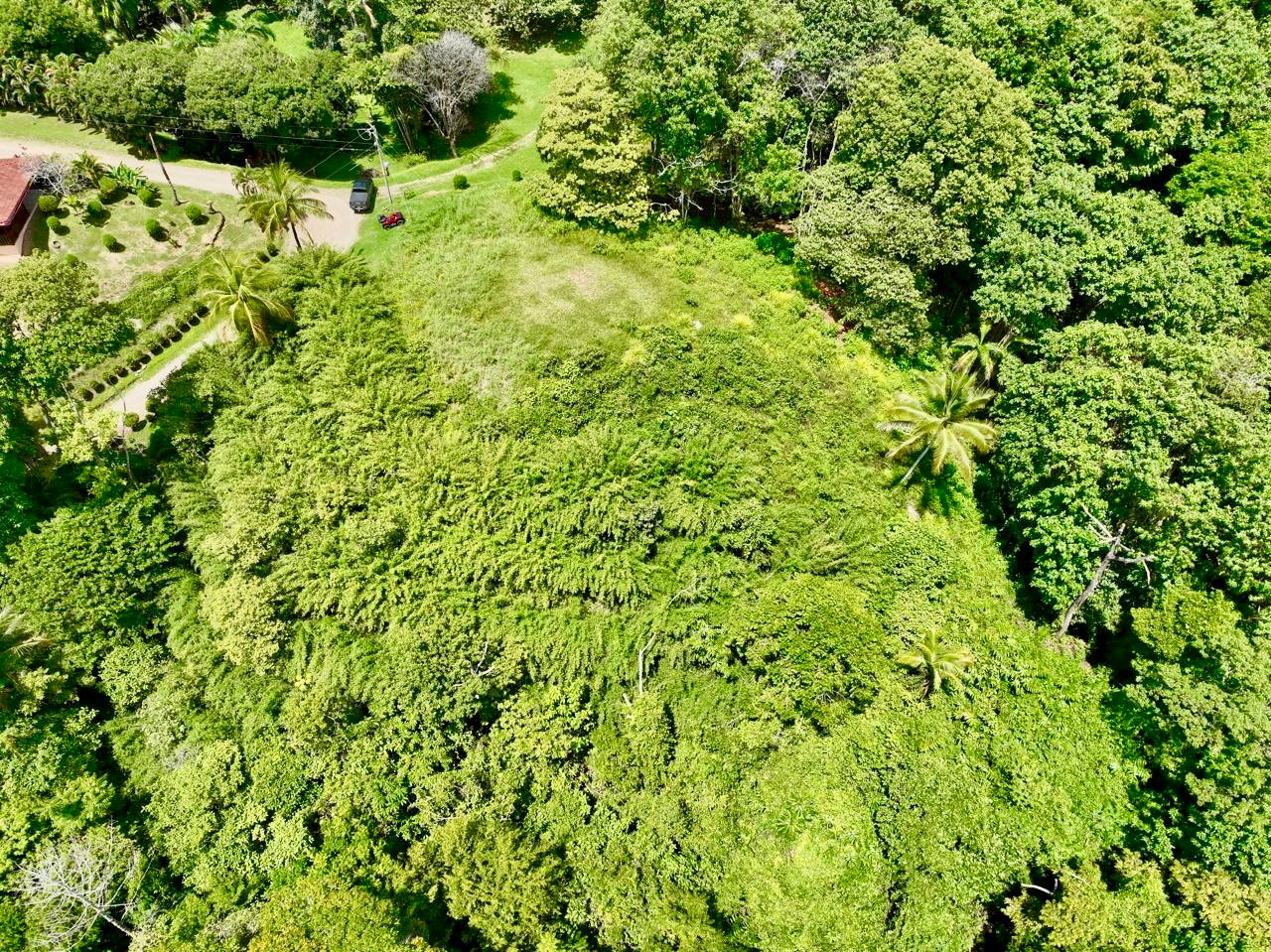 5.3-Acre Ocean View Land in San Martin Norte, Dominical property photo 5