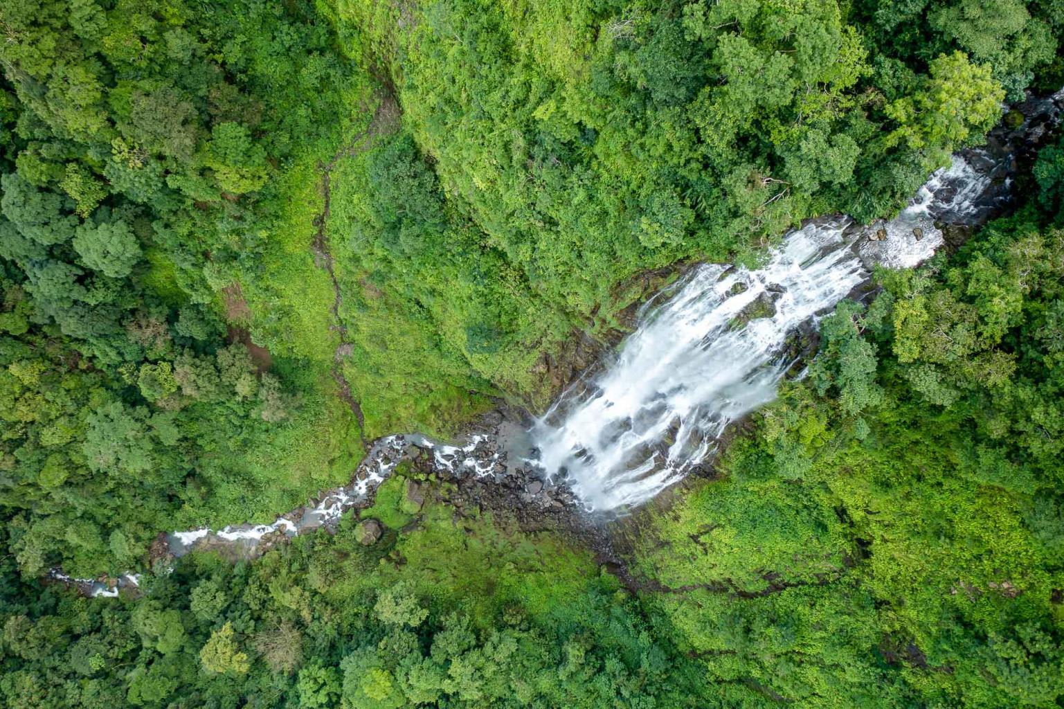150-Acre Waterfall Farm Near Tinamaste property photo 4