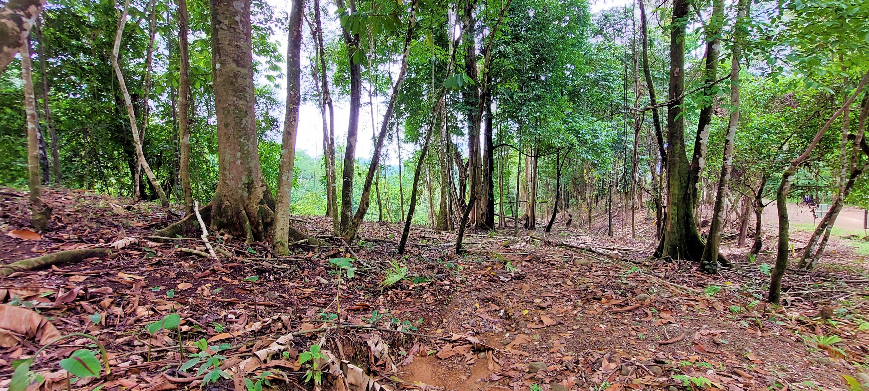3.5-Acre Estate Land on Bejuco Road, Uvita in Uvita, Costa Rica