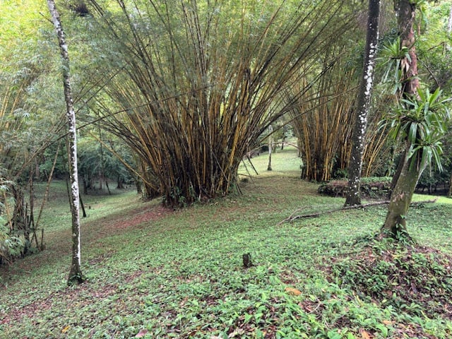 17.85-Acre Land with Two Waterfalls Near Dominical property photo 3
