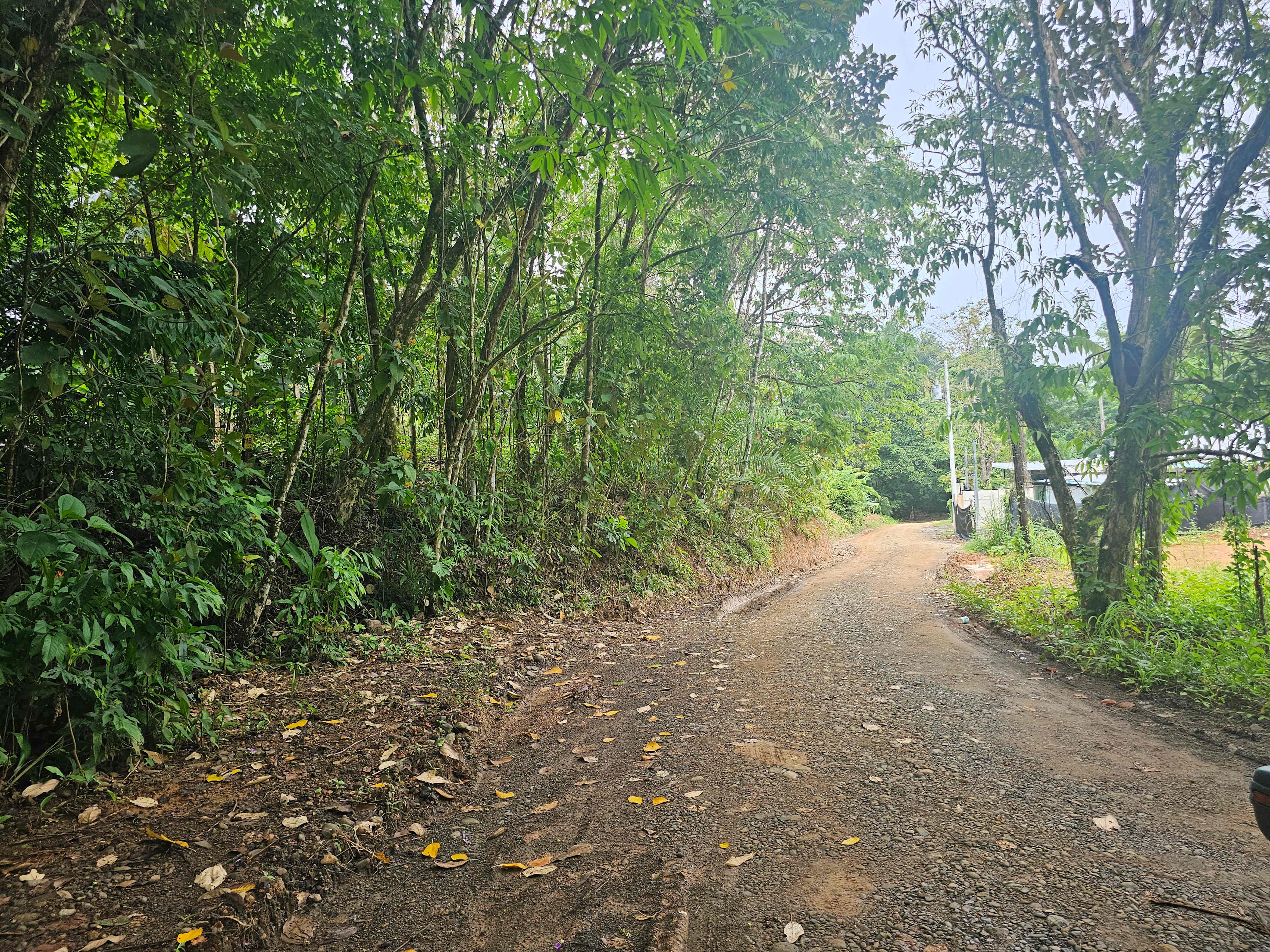 Building Lot Near the Beach in Uvita property photo 5
