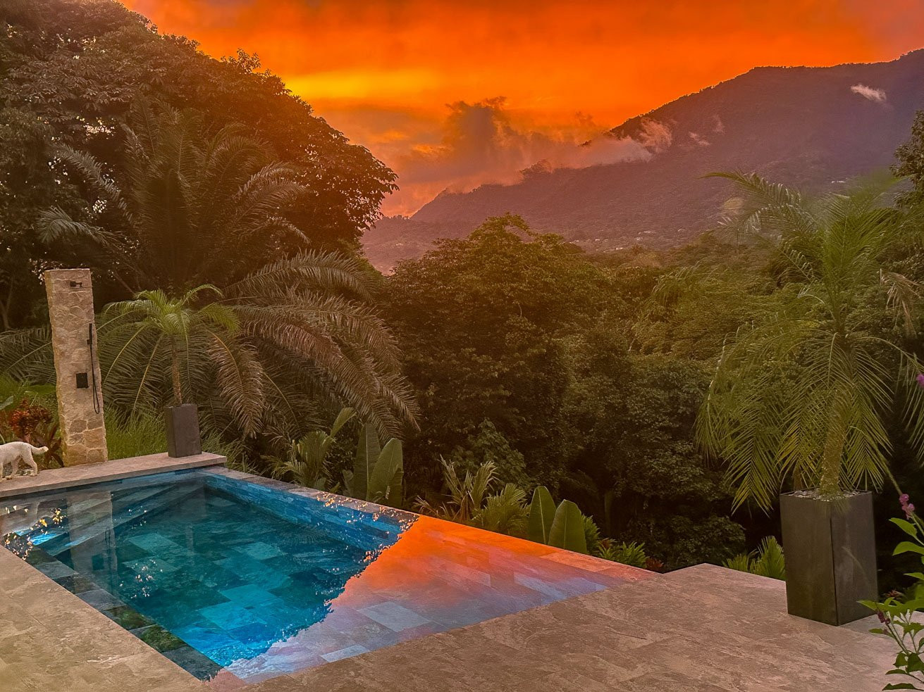 Modern Jungle Villa in Ojochal property photo 3