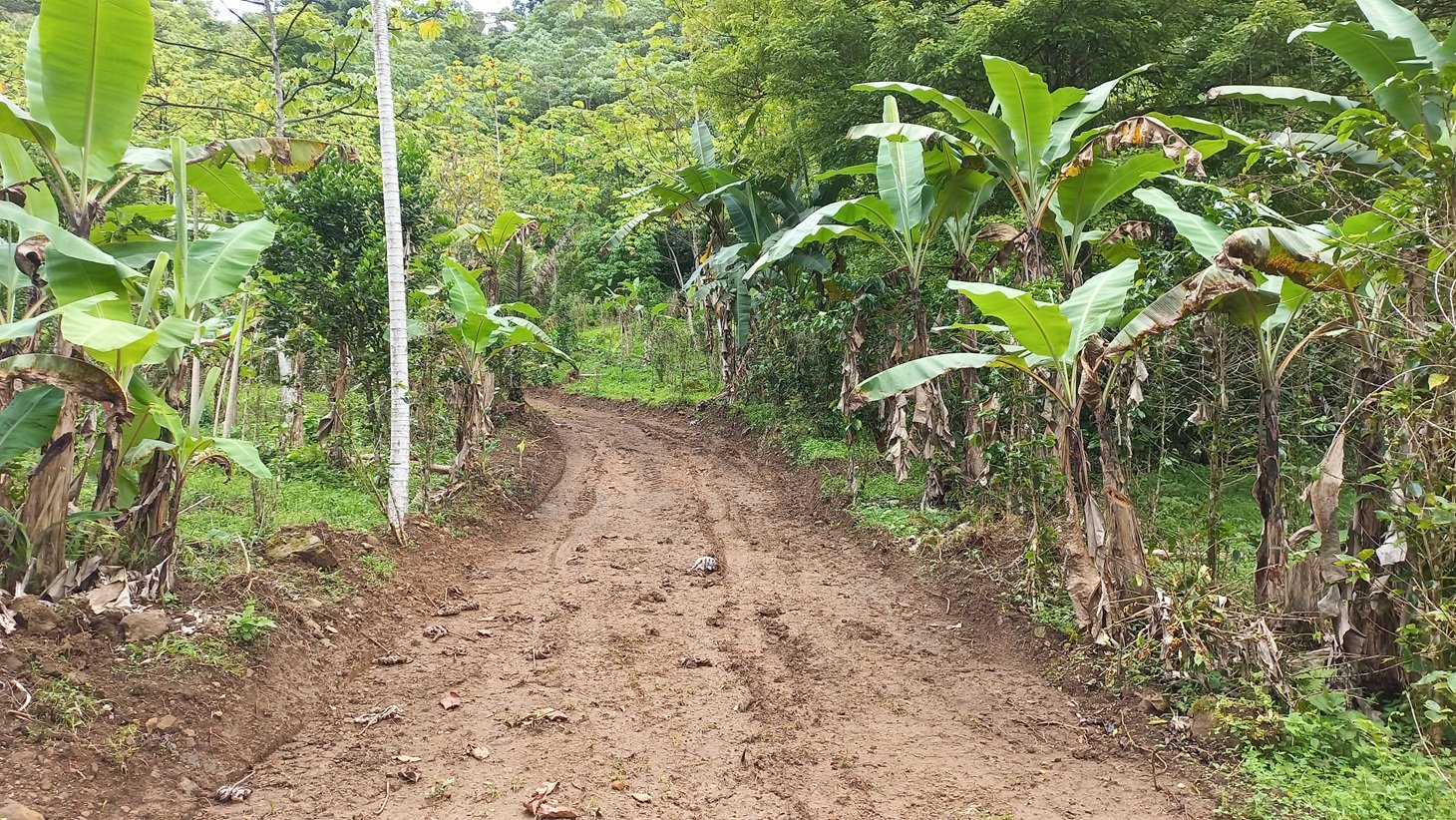 Mountain View Land in San Luis, Above Uvita property photo 2