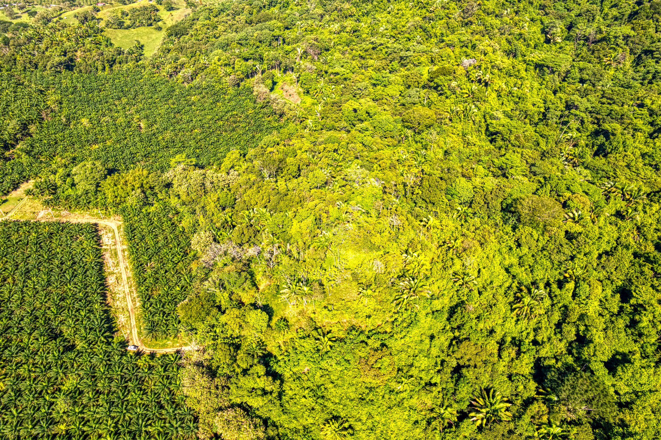 Ocean View Land in Portalon, Quepos property photo 2