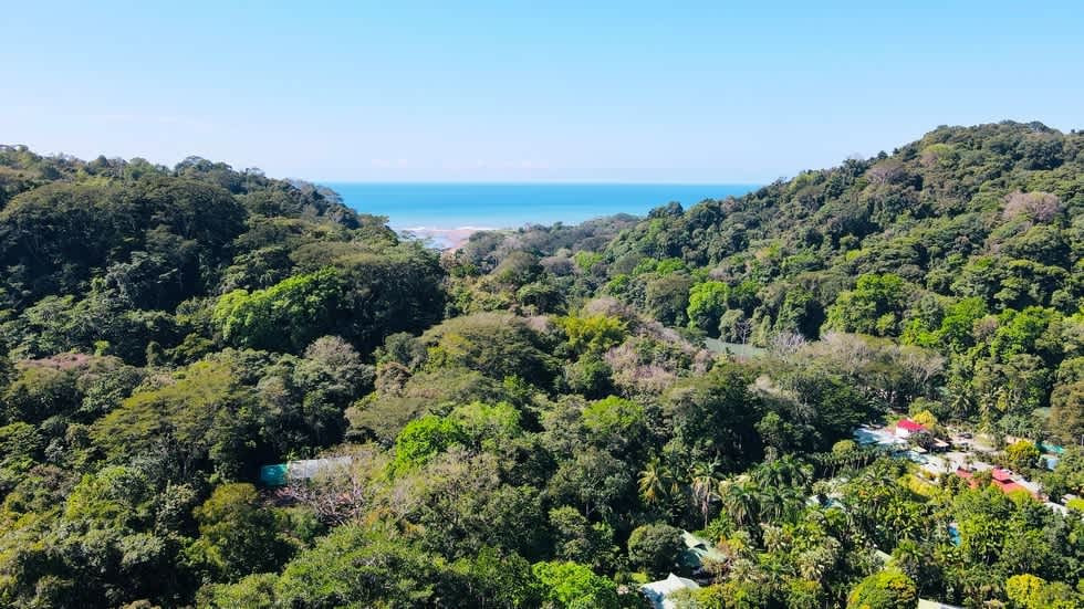 Turnkey Ocean View Villa (Casa Linda Vista) Above Dominical Beach property photo 5