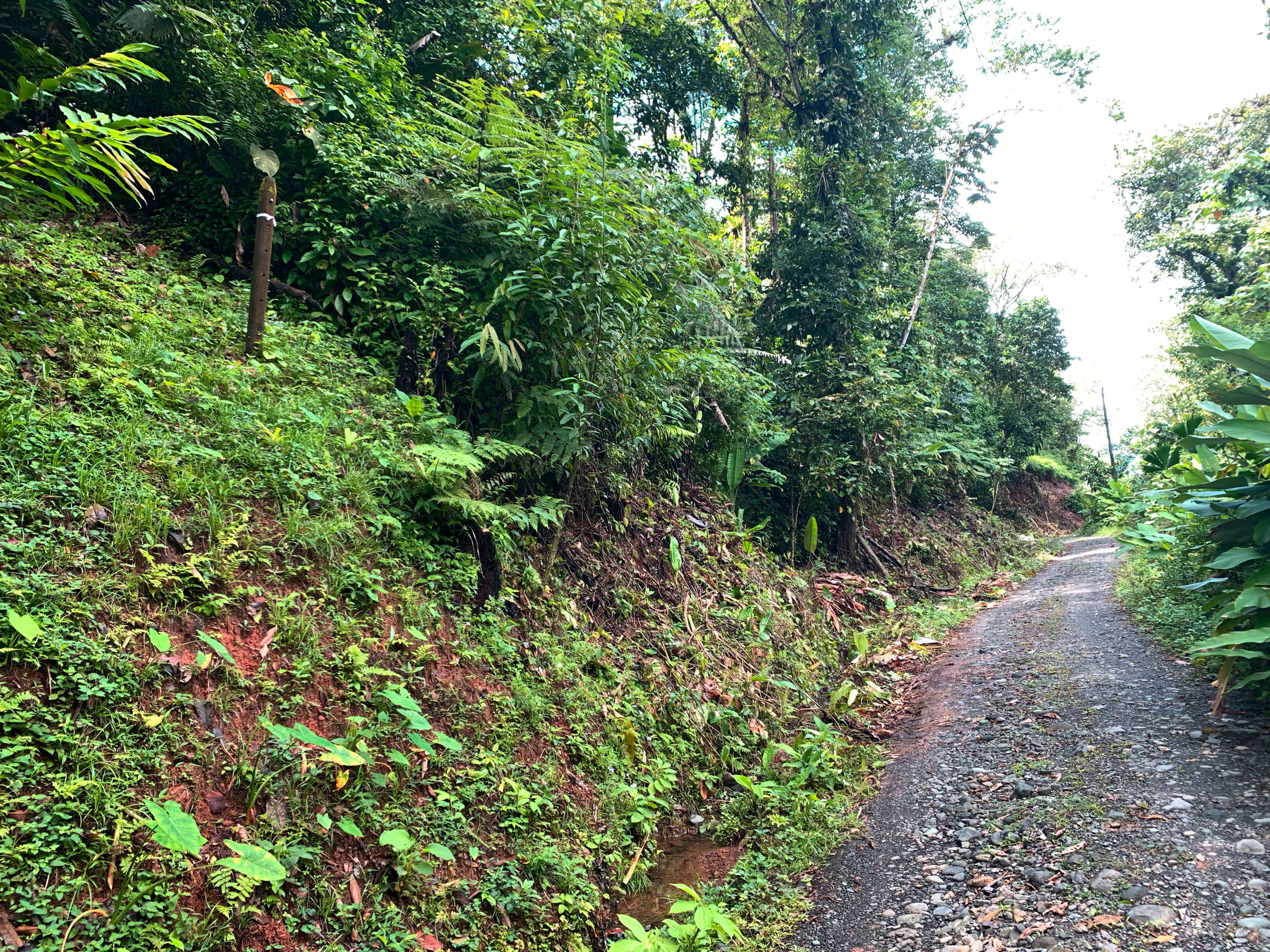 74-Acre Mountain Land Near Quepos property photo 4