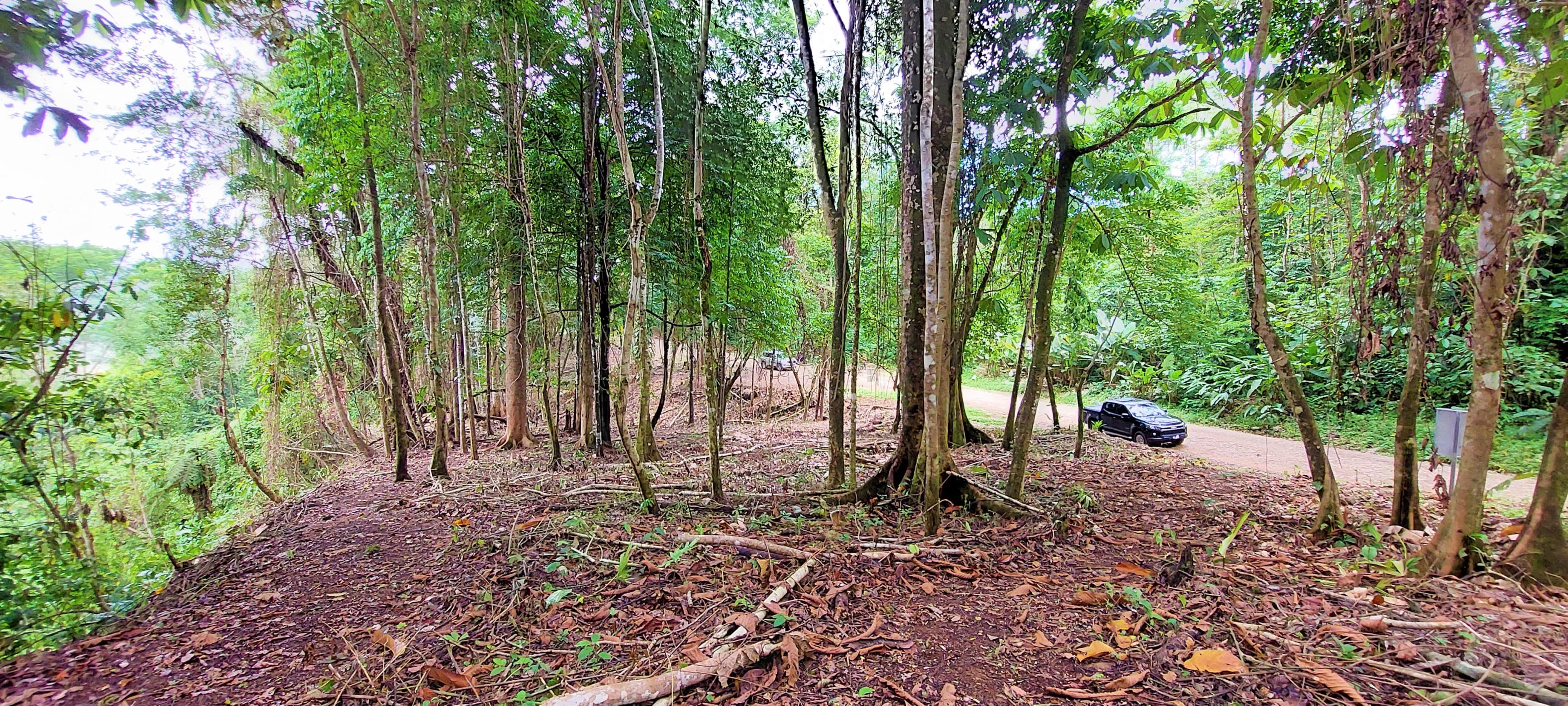 3.5-Acre Estate Land on Bejuco Road, Uvita property photo 3