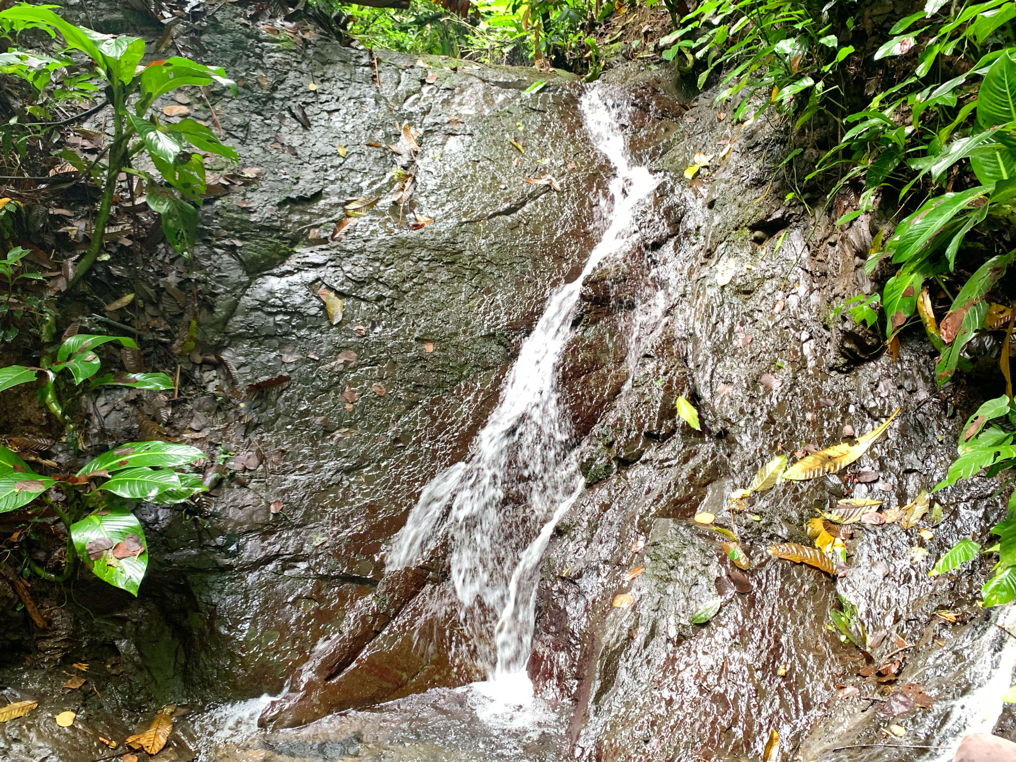 74-Acre Mountain Land Near Quepos in Quepos, Costa Rica