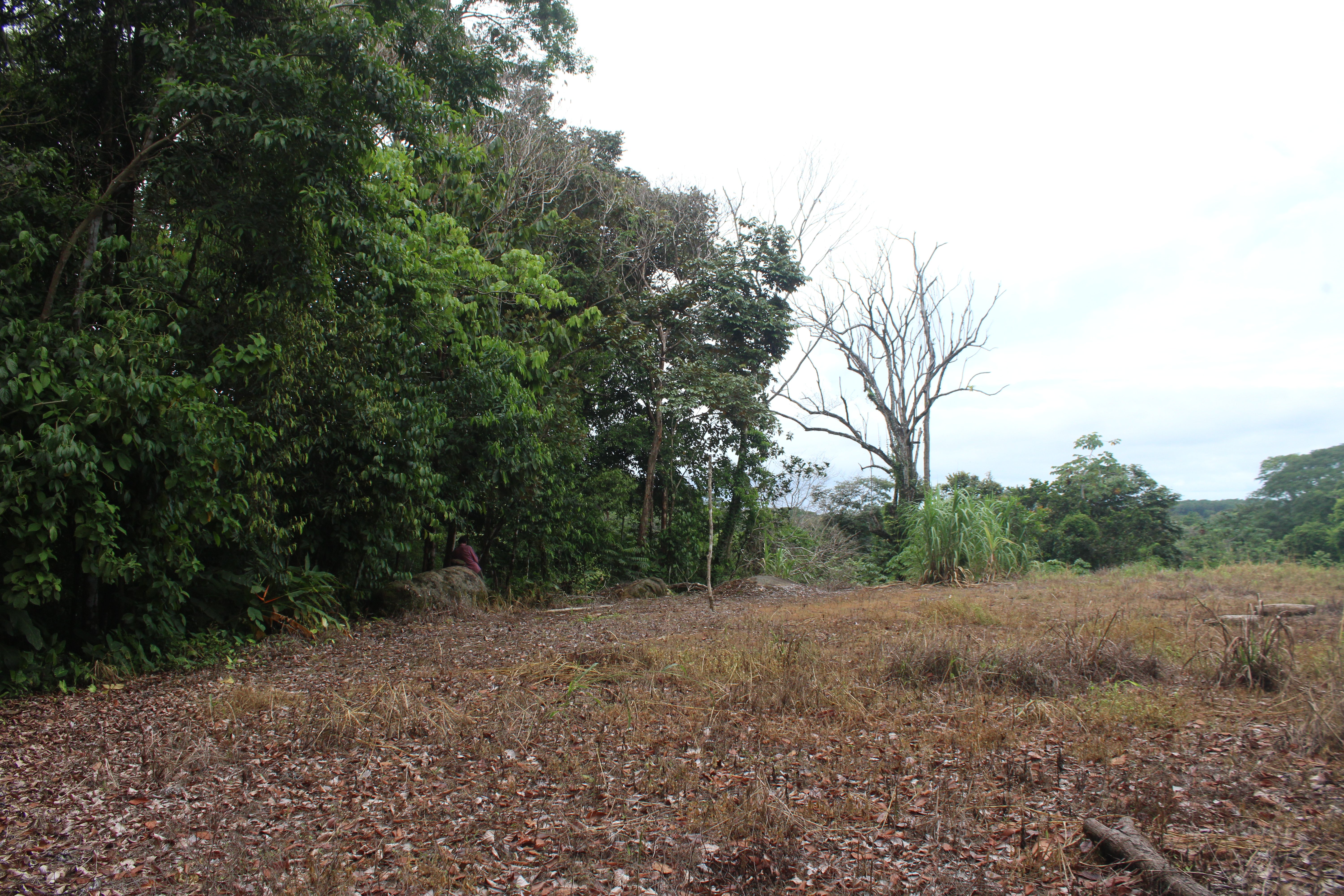Private Building Lot in Hatillo, Near Dominical property photo 2