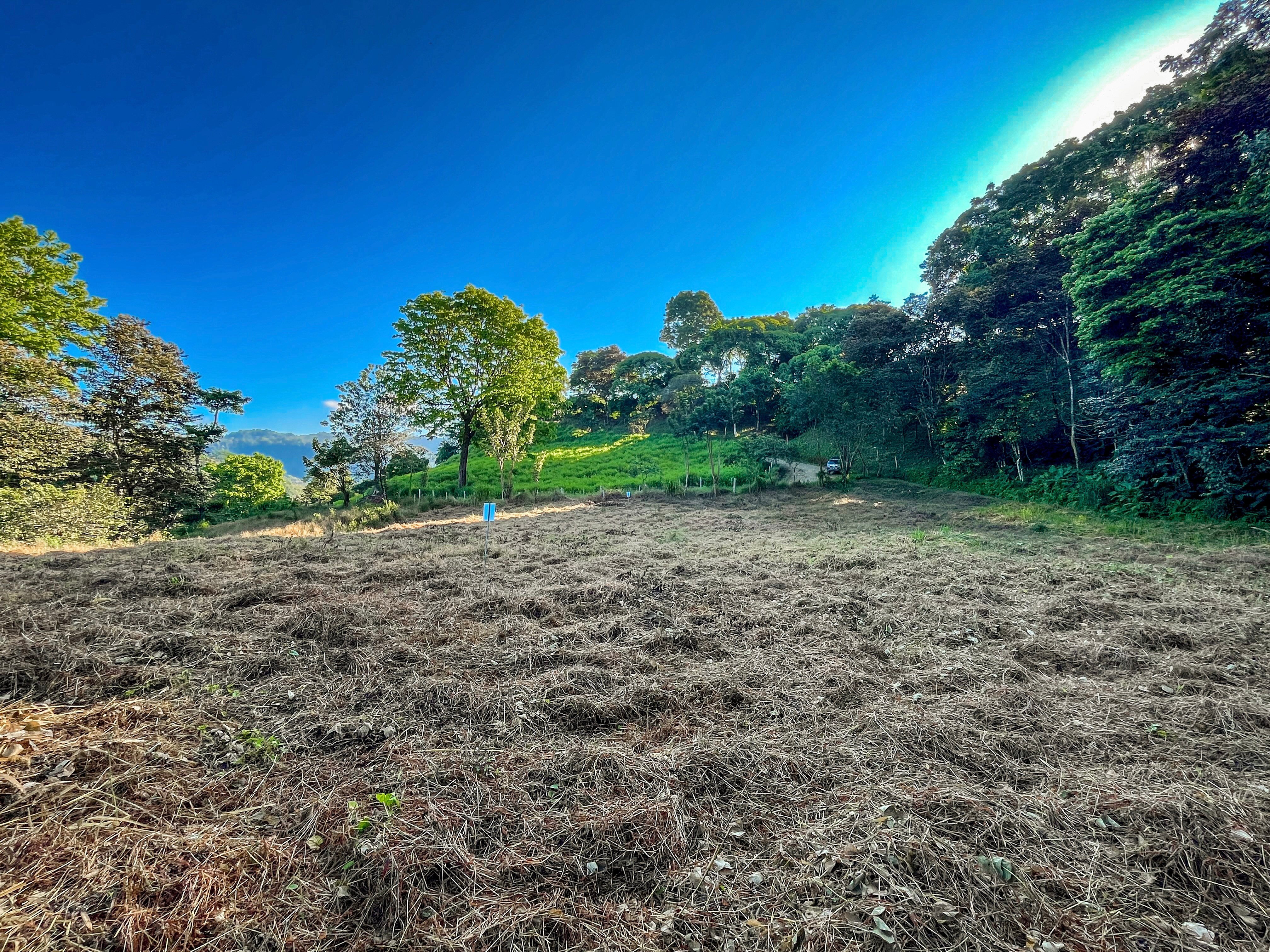 7-Acre Unrestricted Land in Pura Vida Falls, Dominical property photo 5