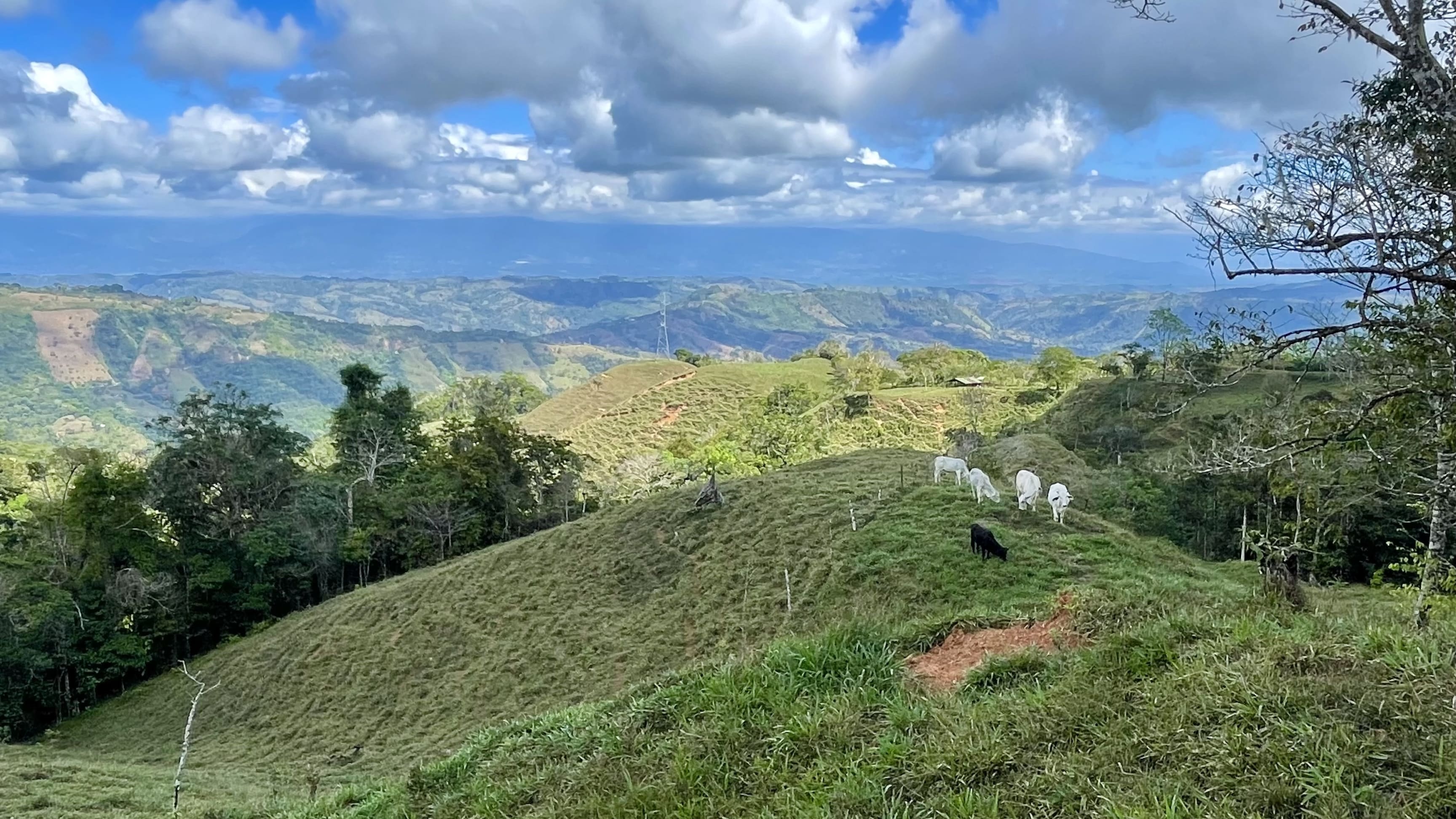 14-Acre Farm in Alto de Guadalupe in Dominical, Costa Rica