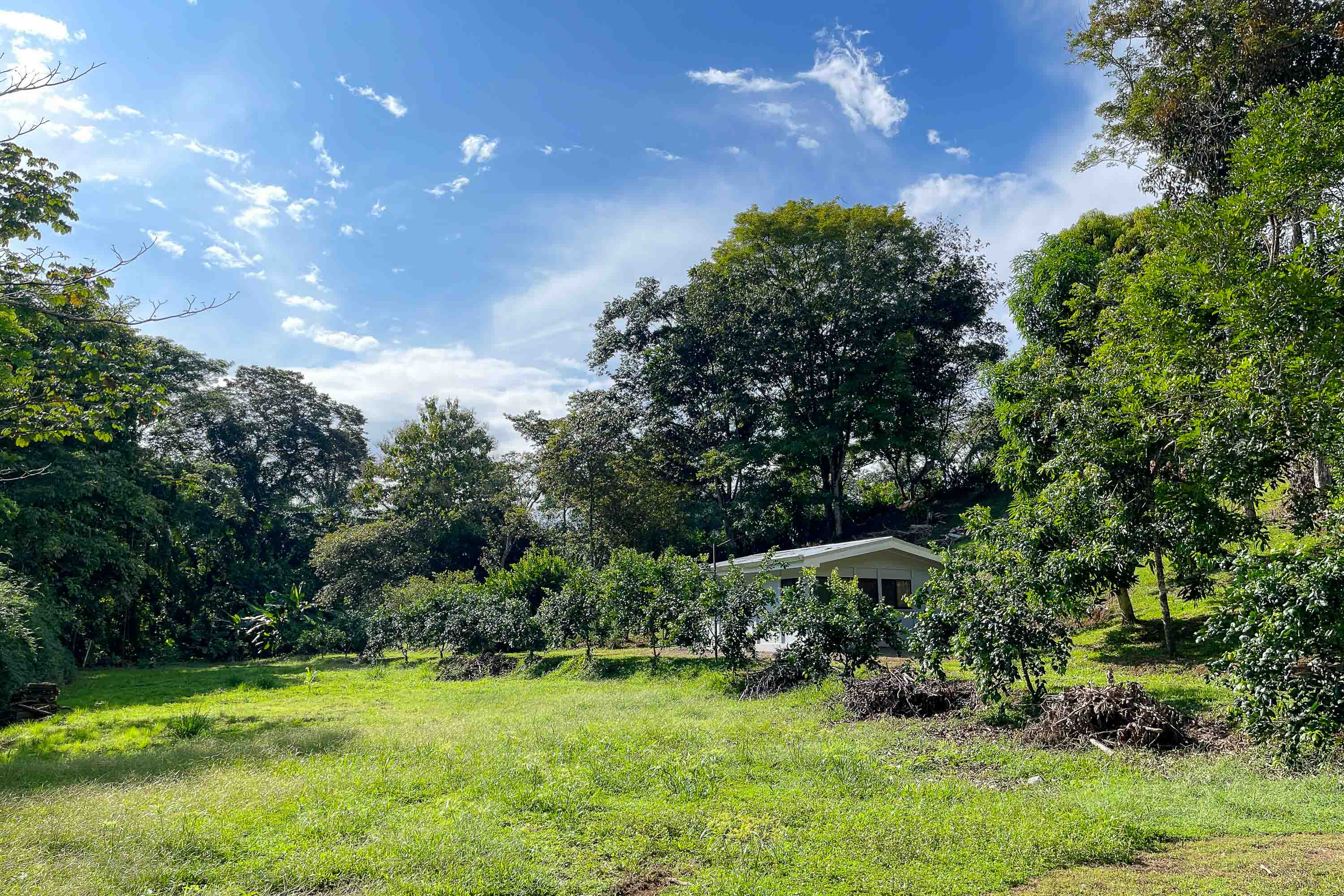 Gated Estate Home (Casa Laguna) in Naranjito, Quepos property photo 3