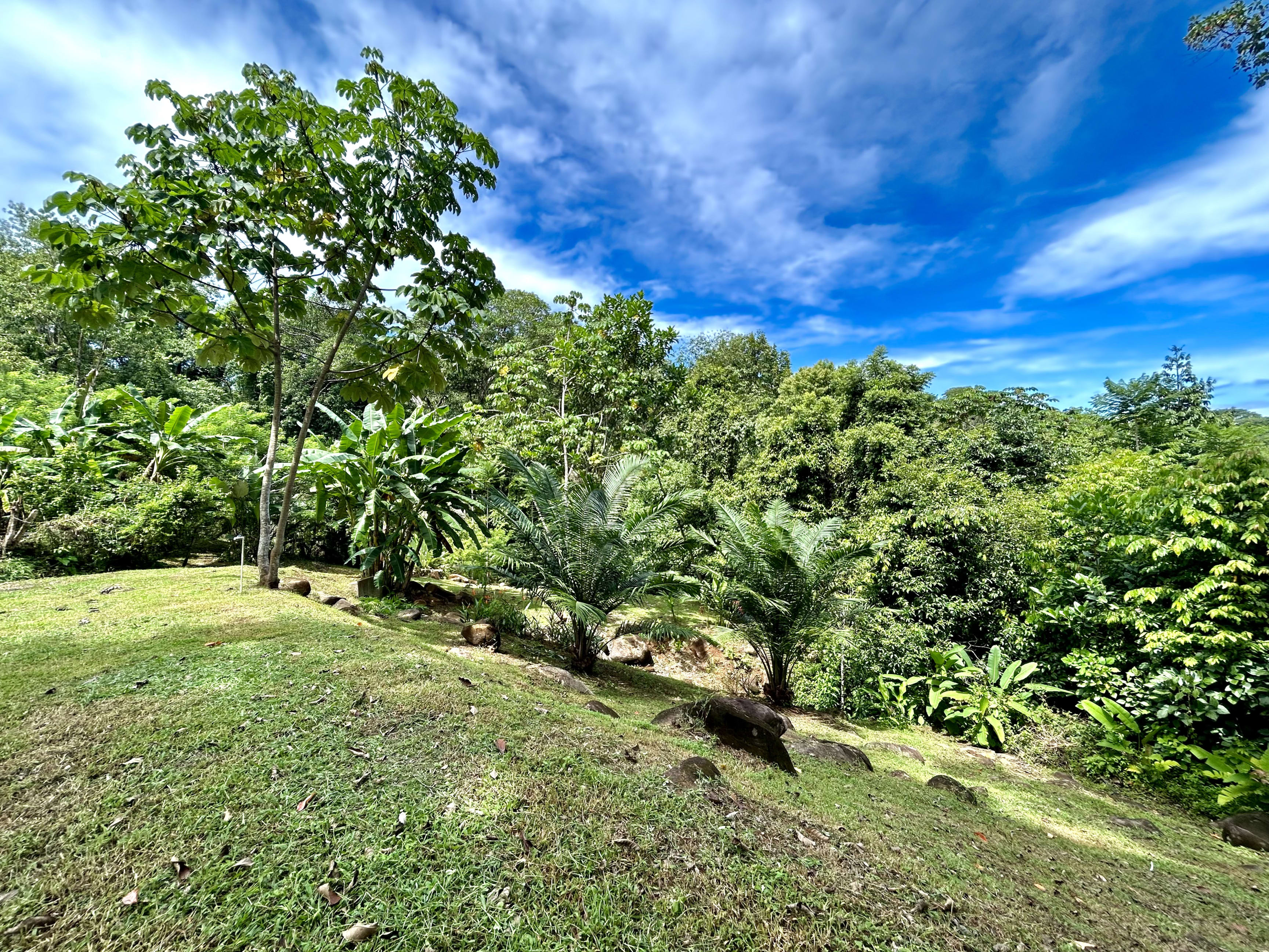 1.2-Acre Ocean View Lot in Altos de la Colonia, Uvita property photo 4