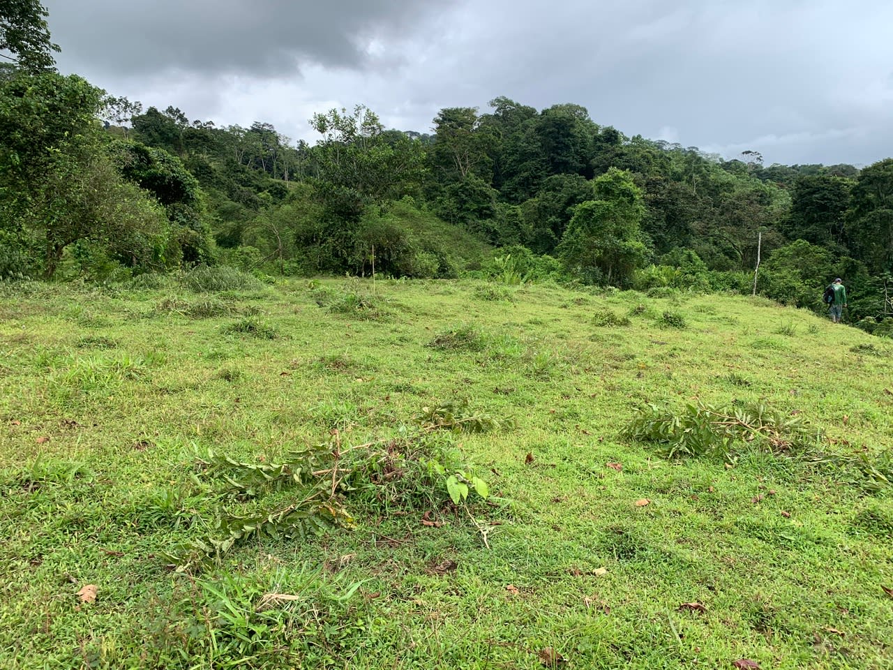 27.6-Acre River Estate Near Dominical property photo 5
