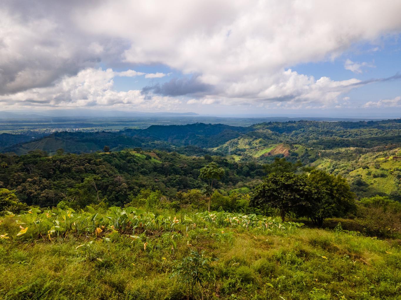 138-Acre Ocean View Land Near Cortez property photo 2